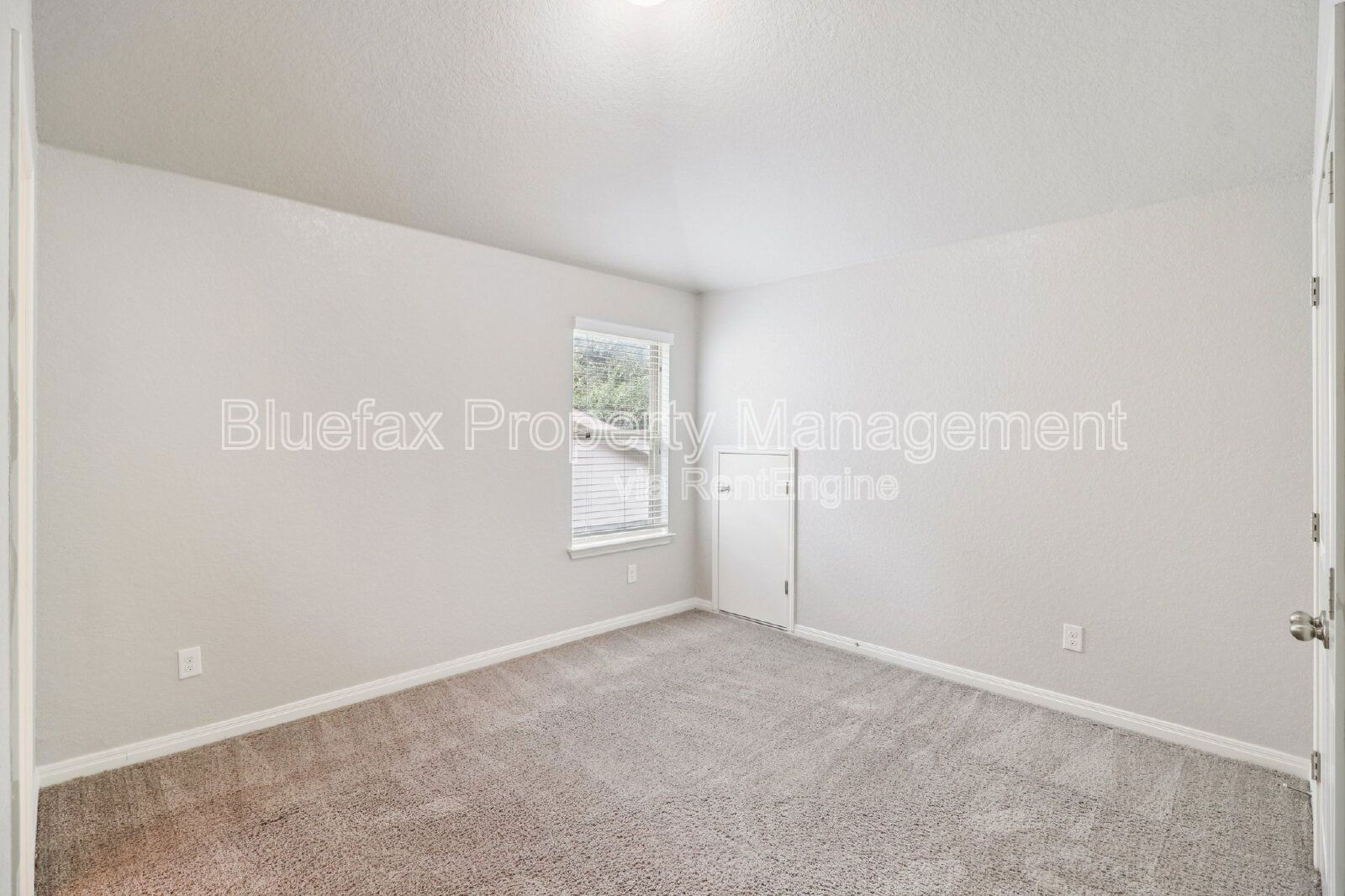 Gallery Image 29