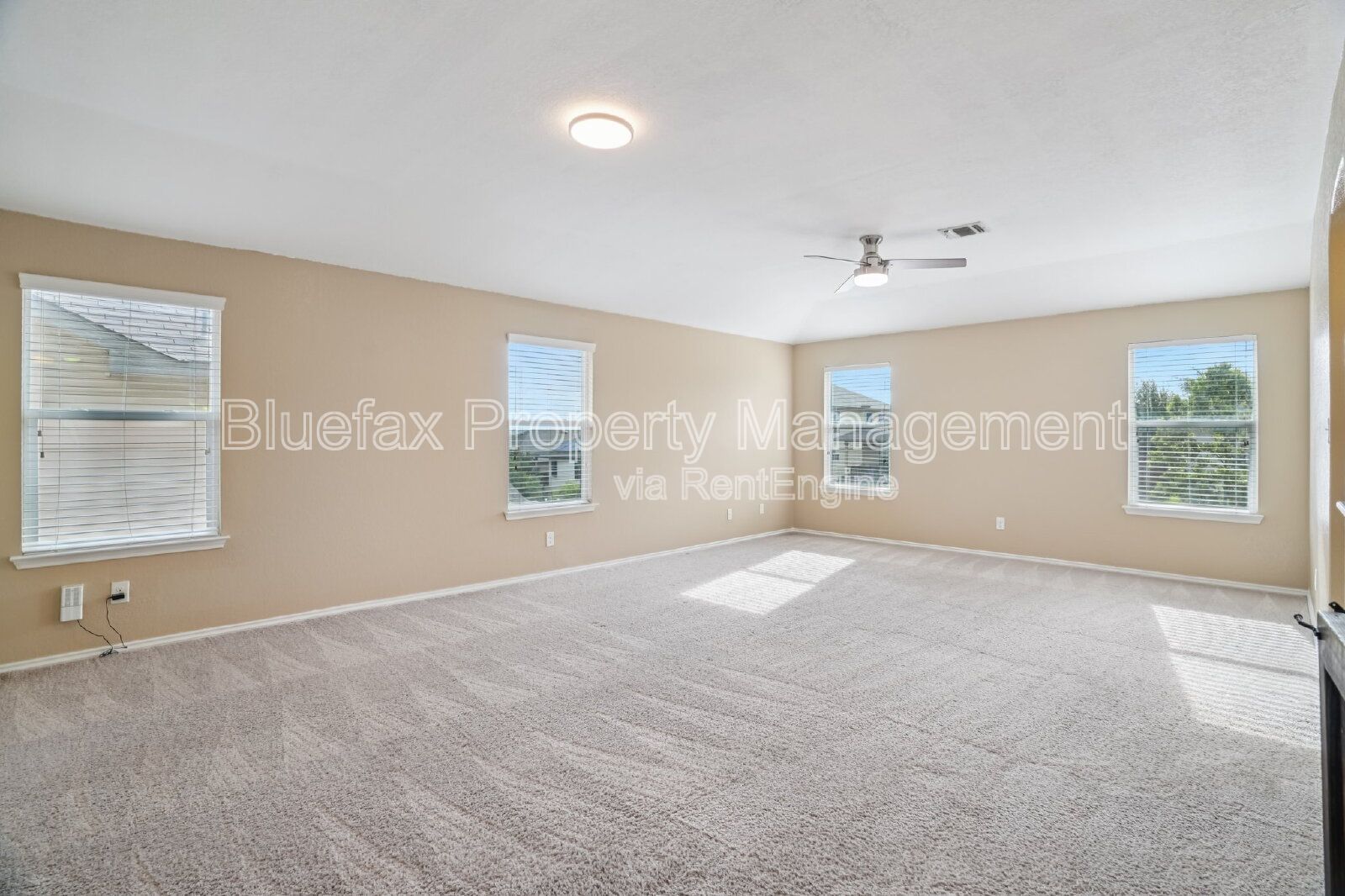Gallery Image 20