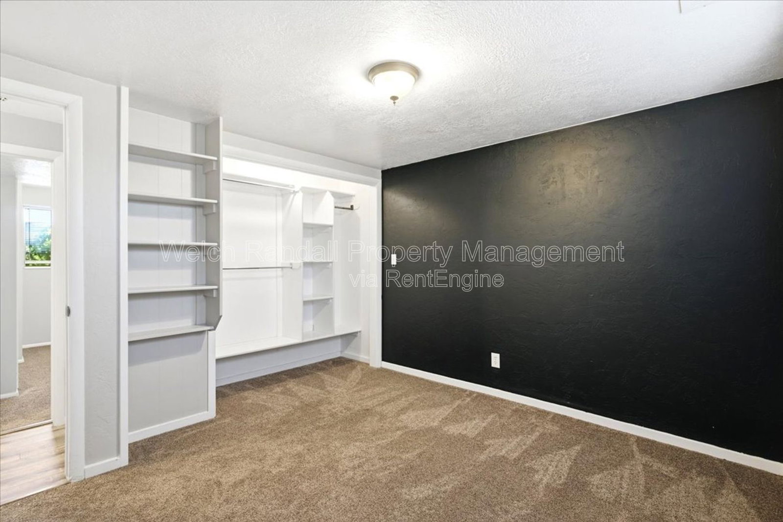 Gallery Image 19