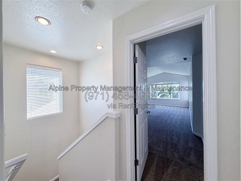 Gallery Image 26