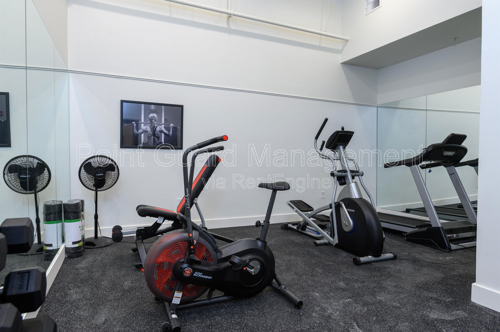 Gallery Image 36
