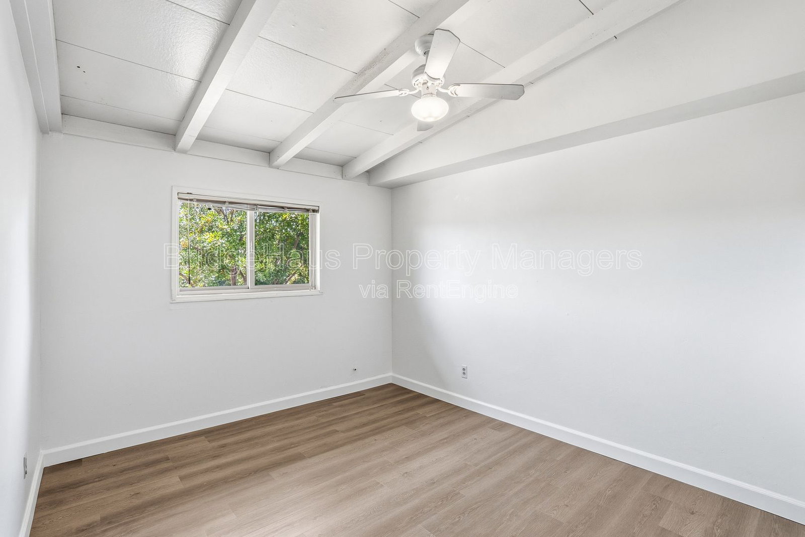 Gallery Image 30