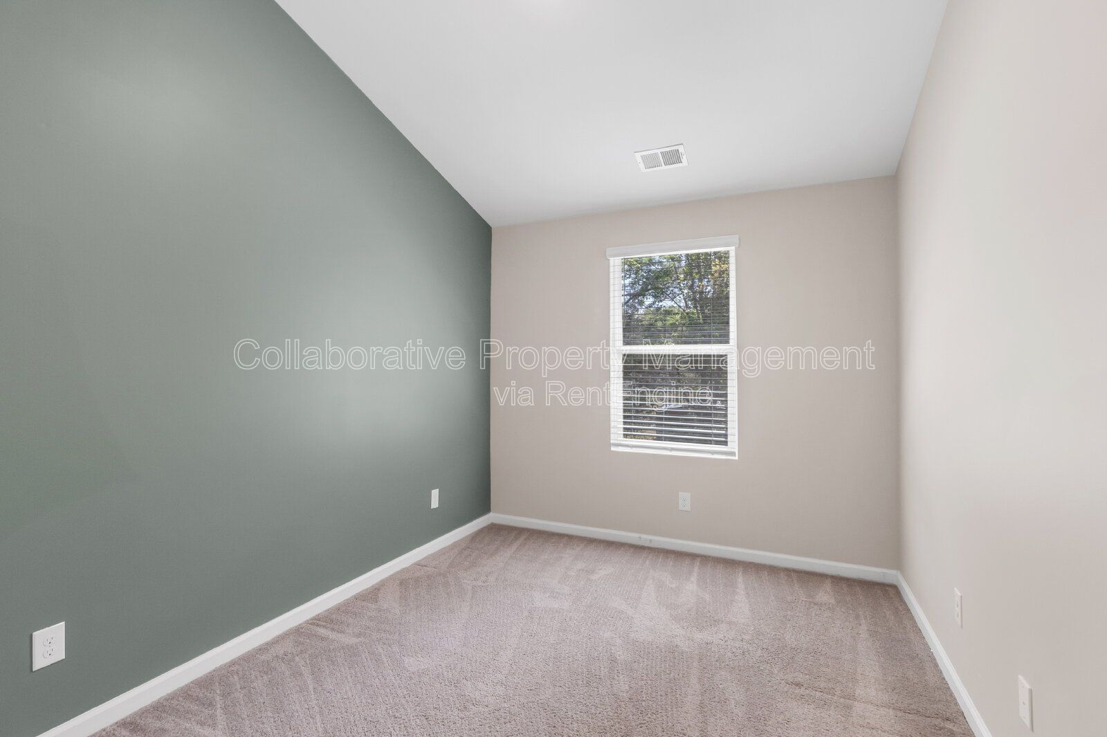 Gallery Image 19