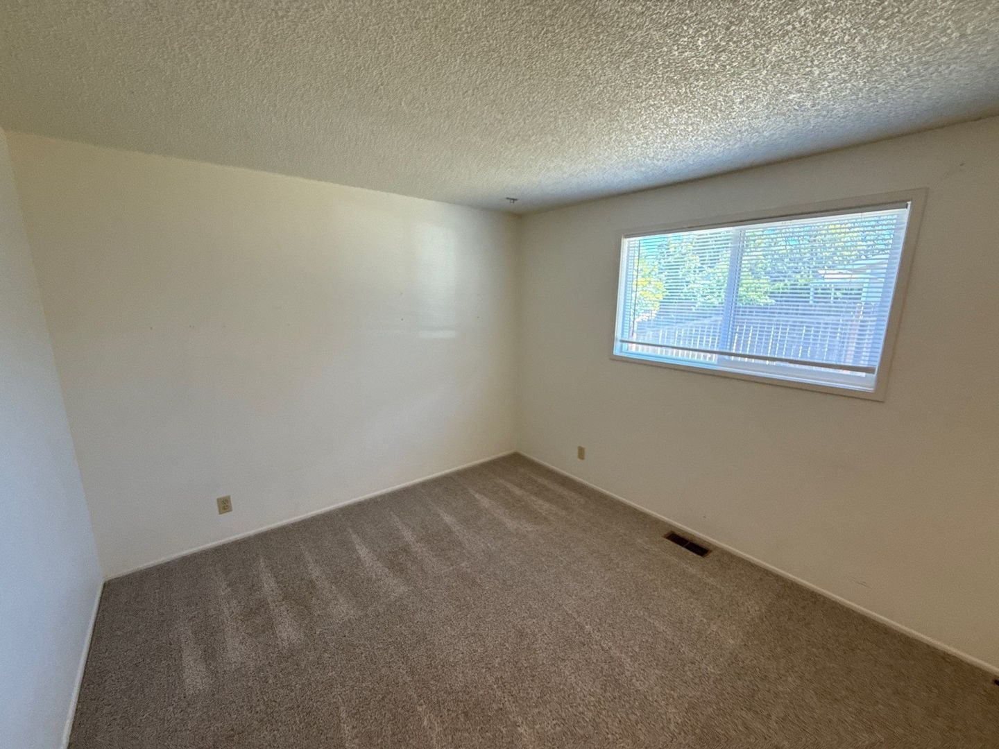 Gallery Image 19