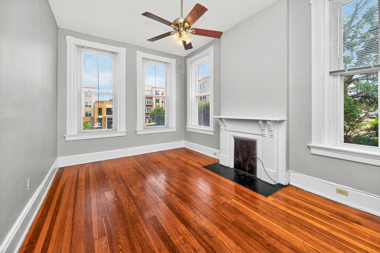 Gallery Image 10