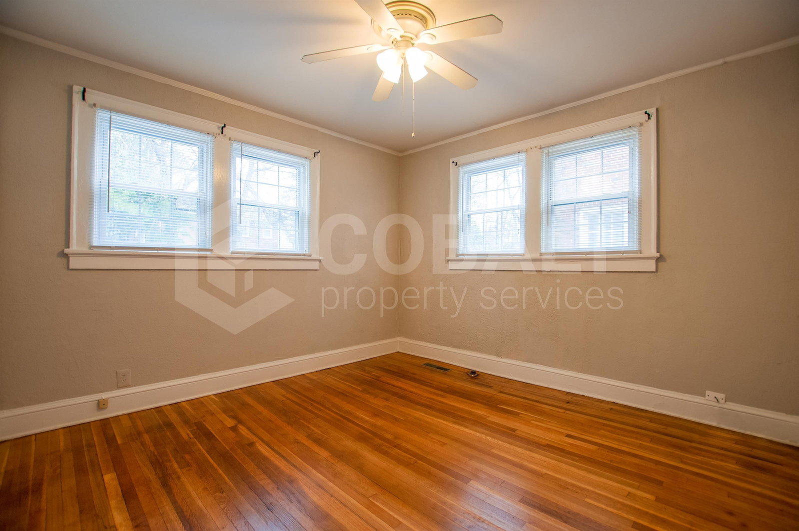 Gallery Image 8