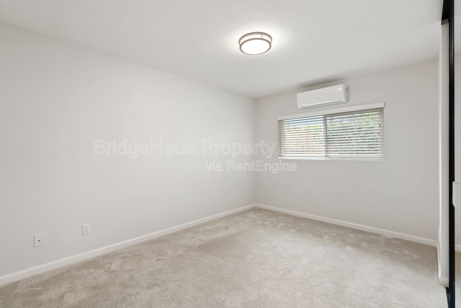 Gallery Image 20