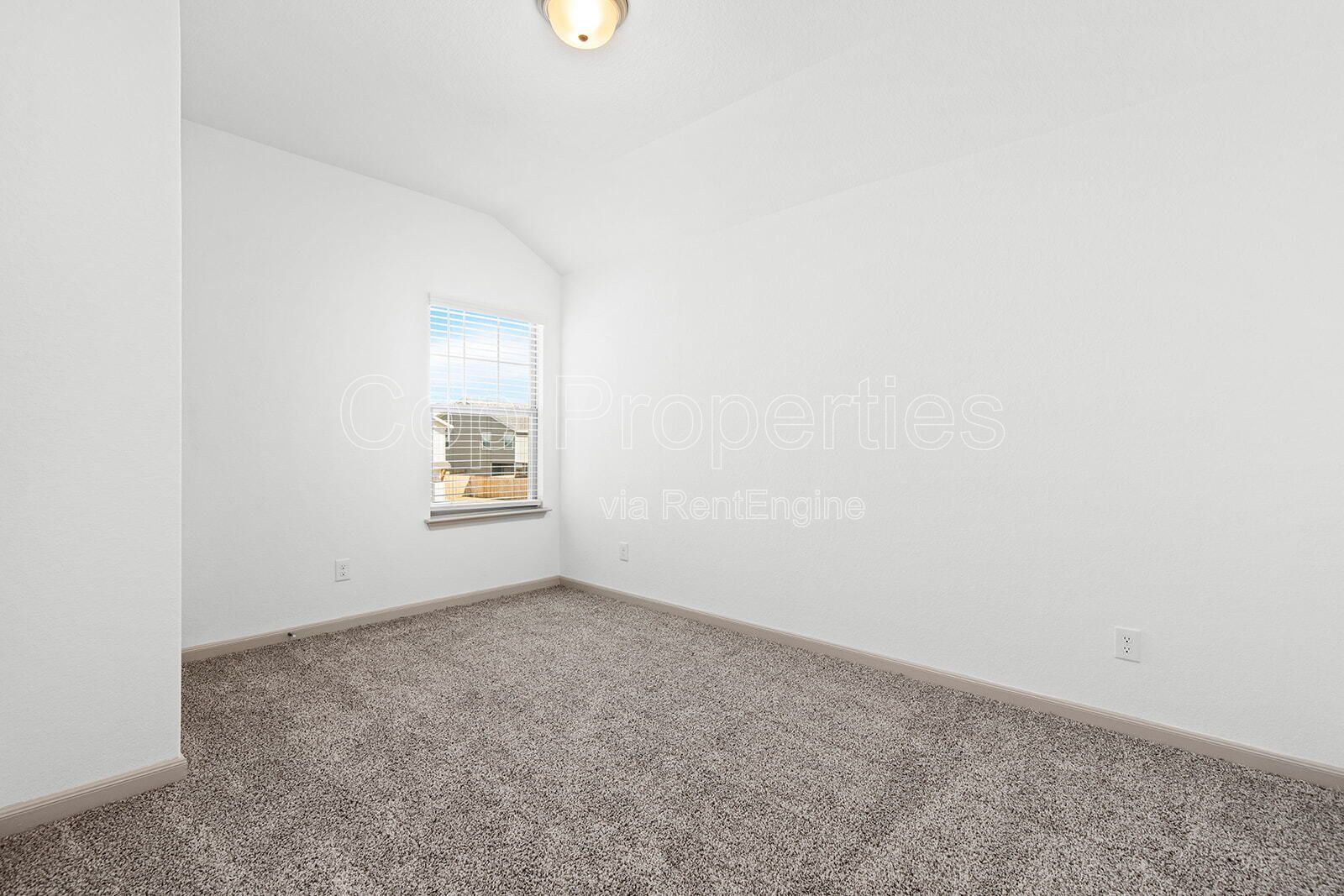 Gallery Image 19
