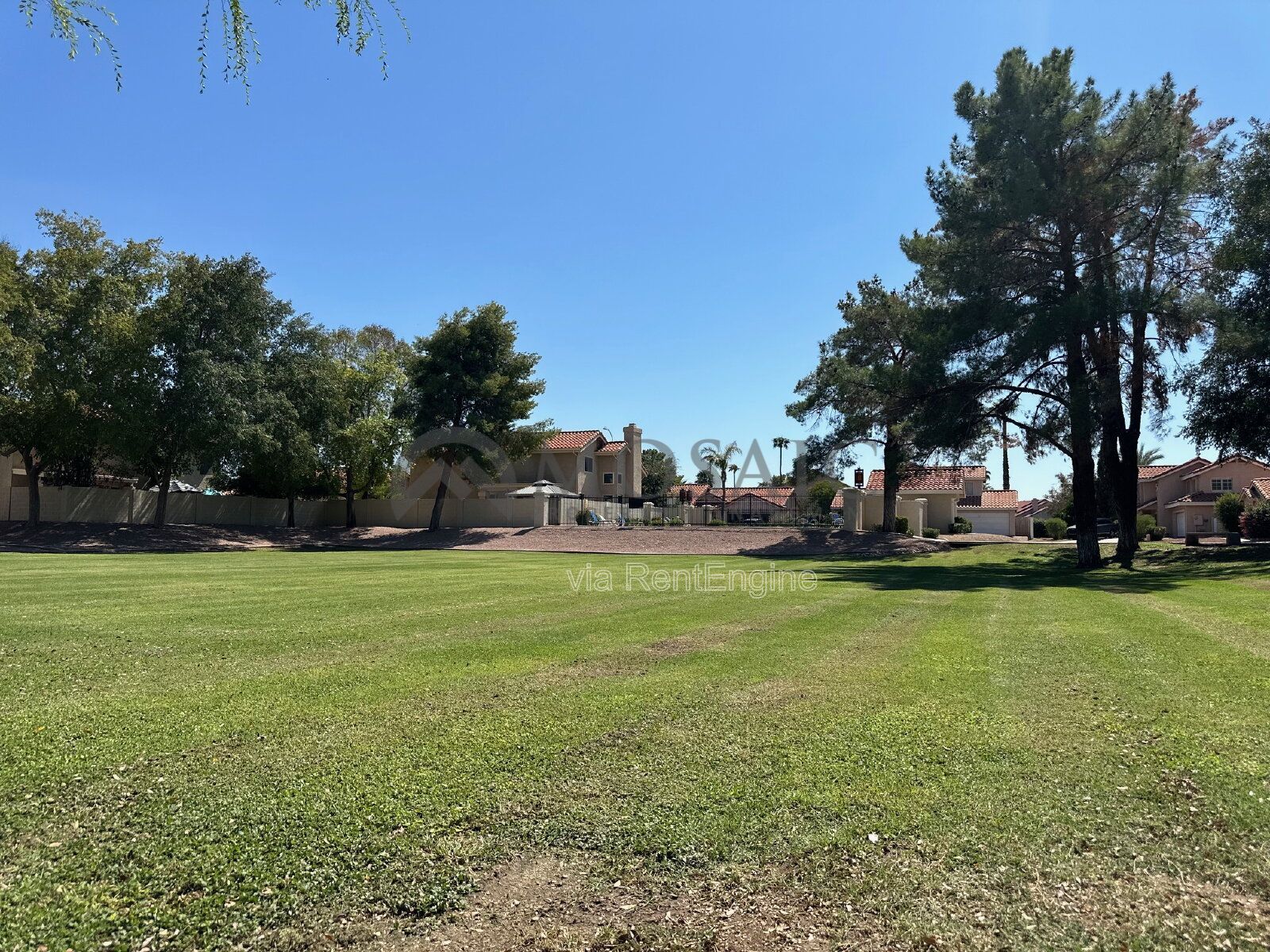Gallery Image 19