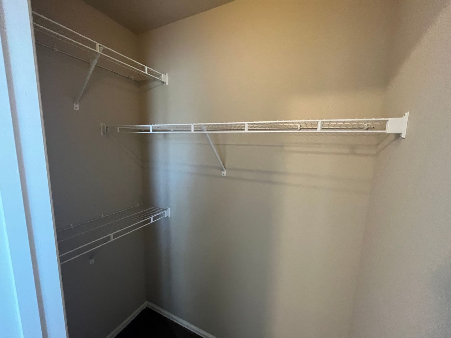 Gallery Image 28