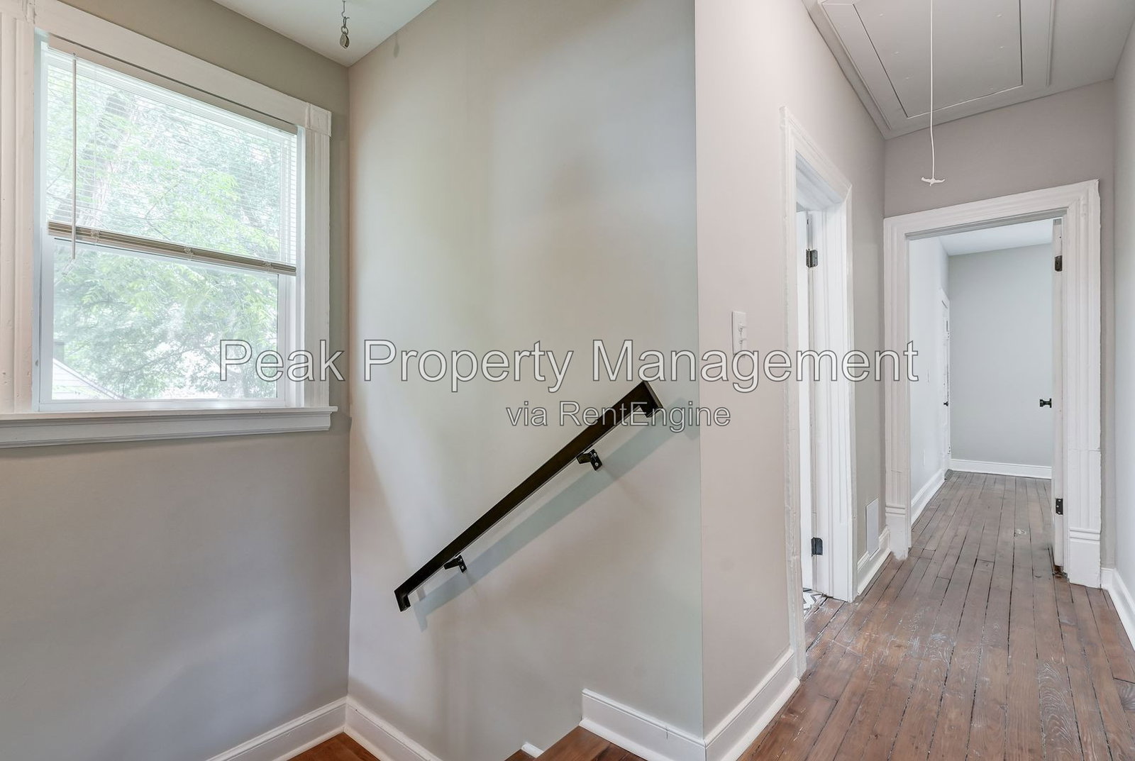 Gallery Image 38