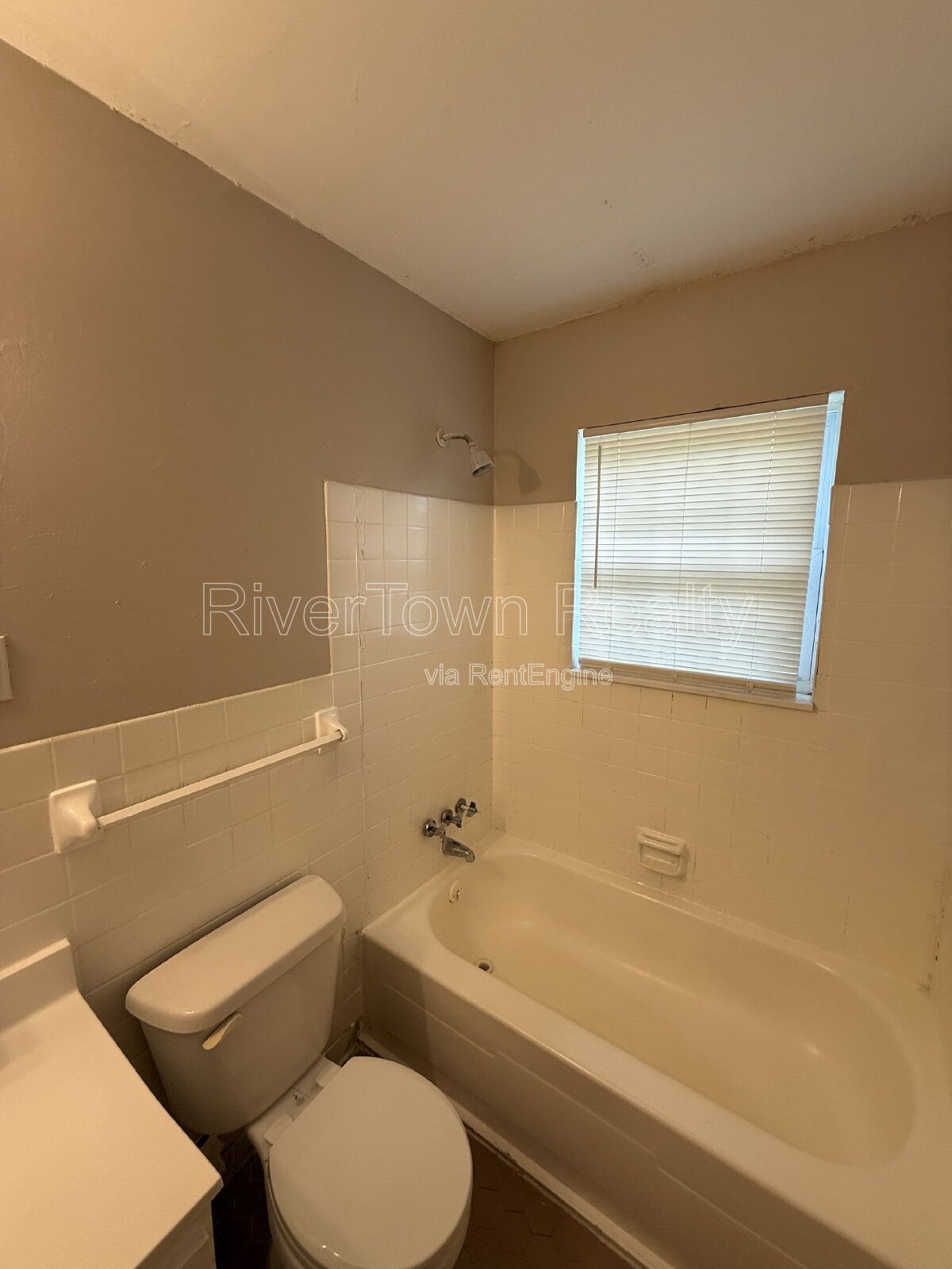 Gallery Image 19