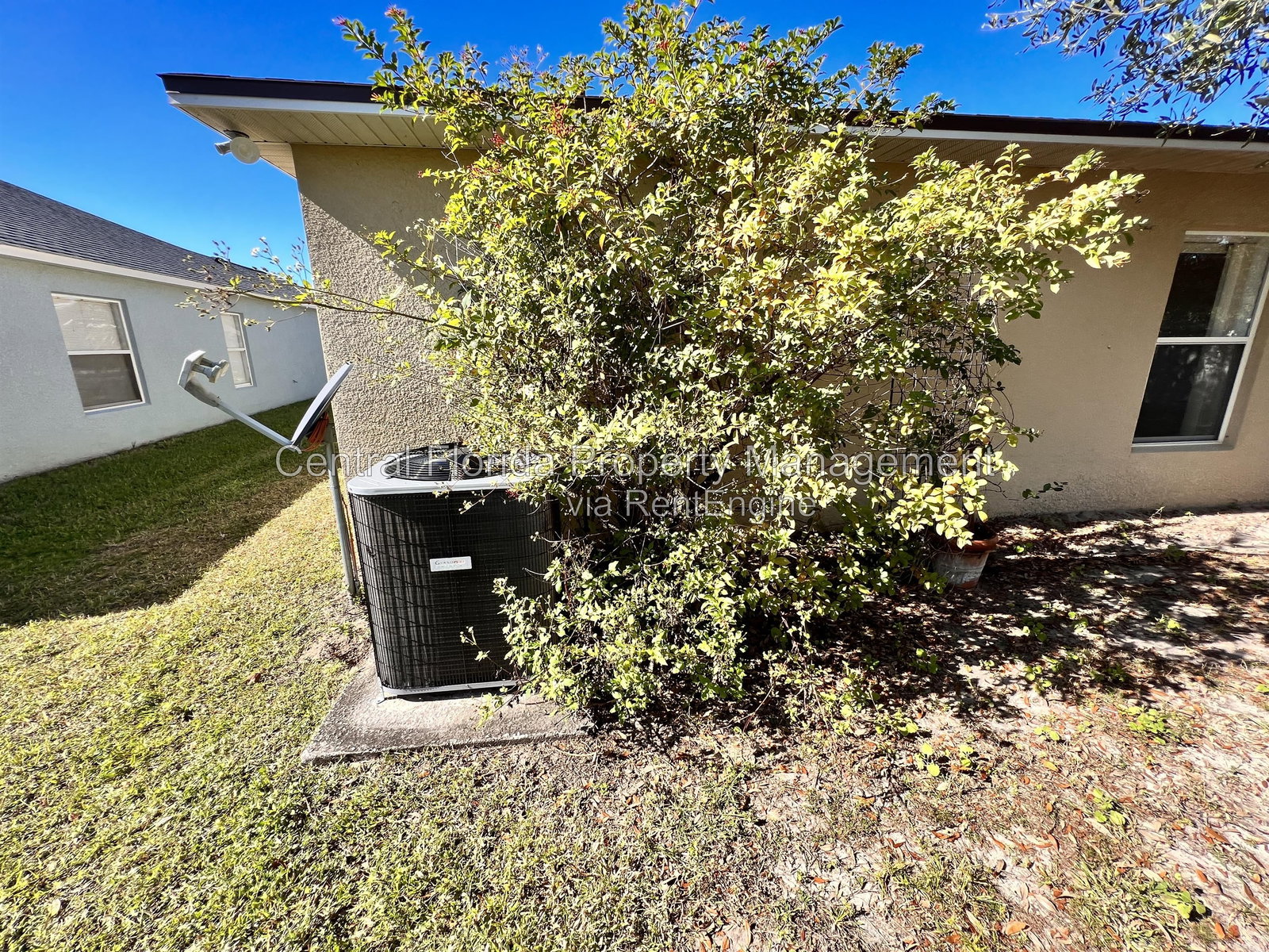 Gallery Image 20