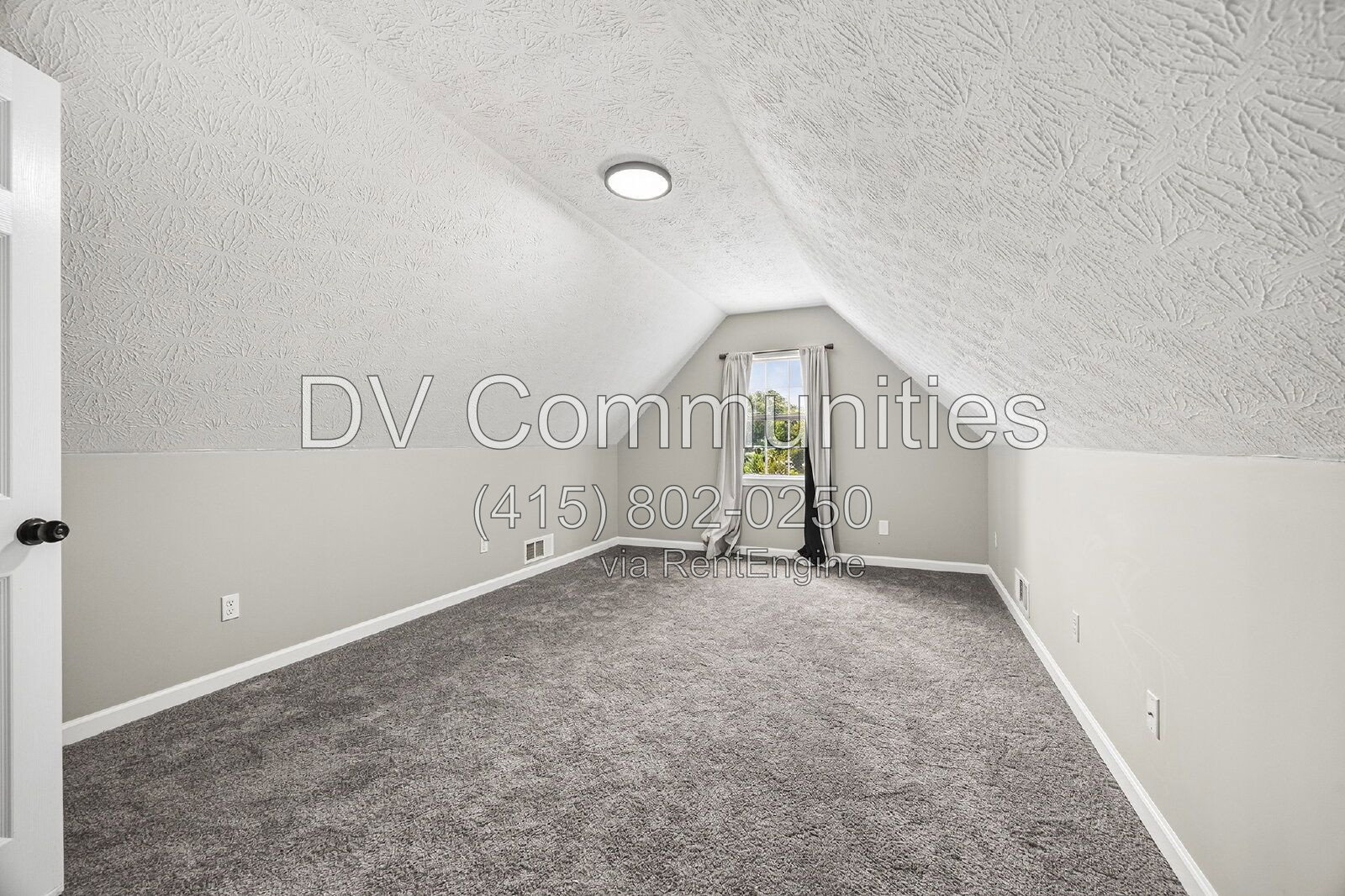 Gallery Image 19