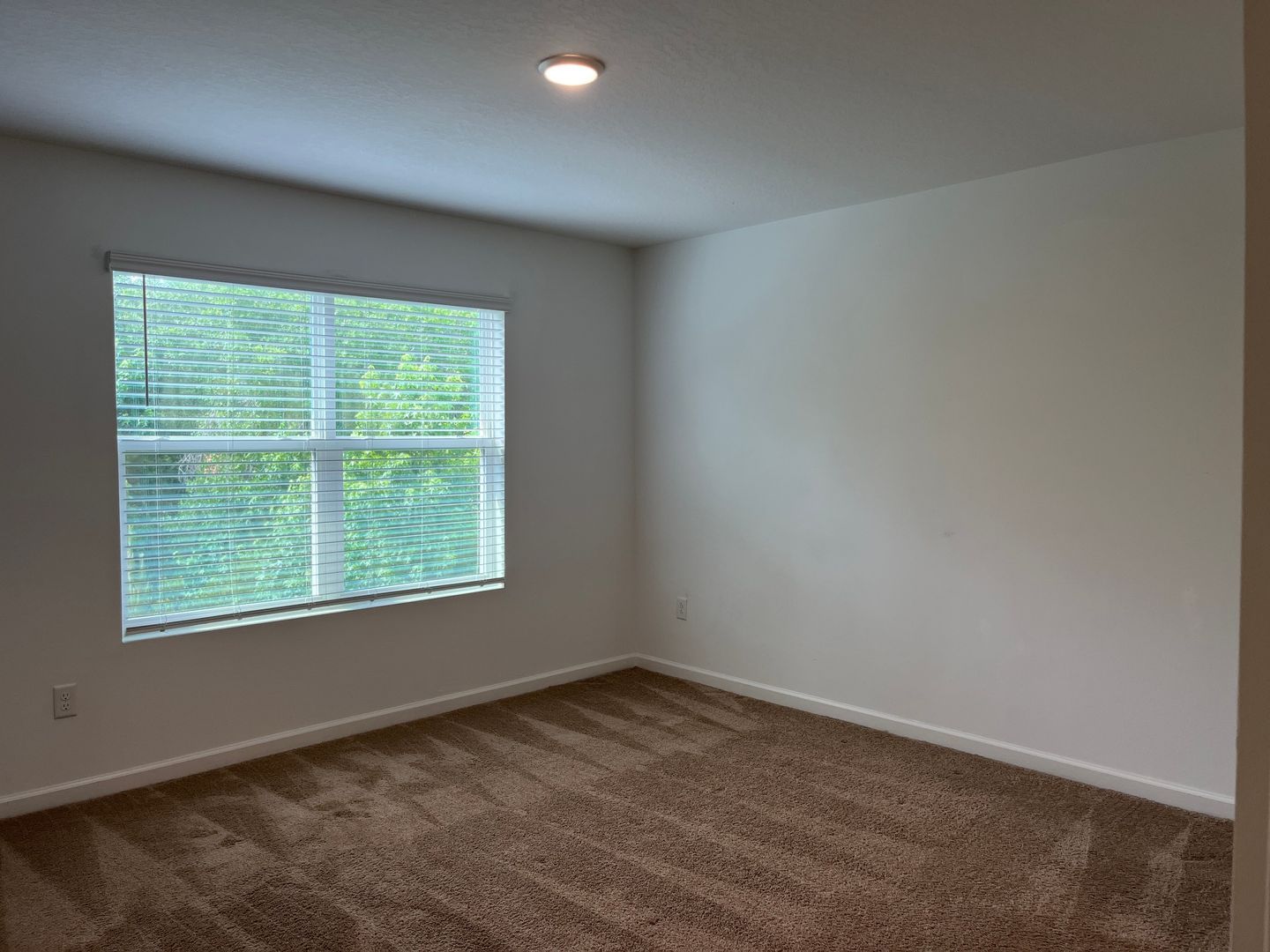 Gallery Image 18