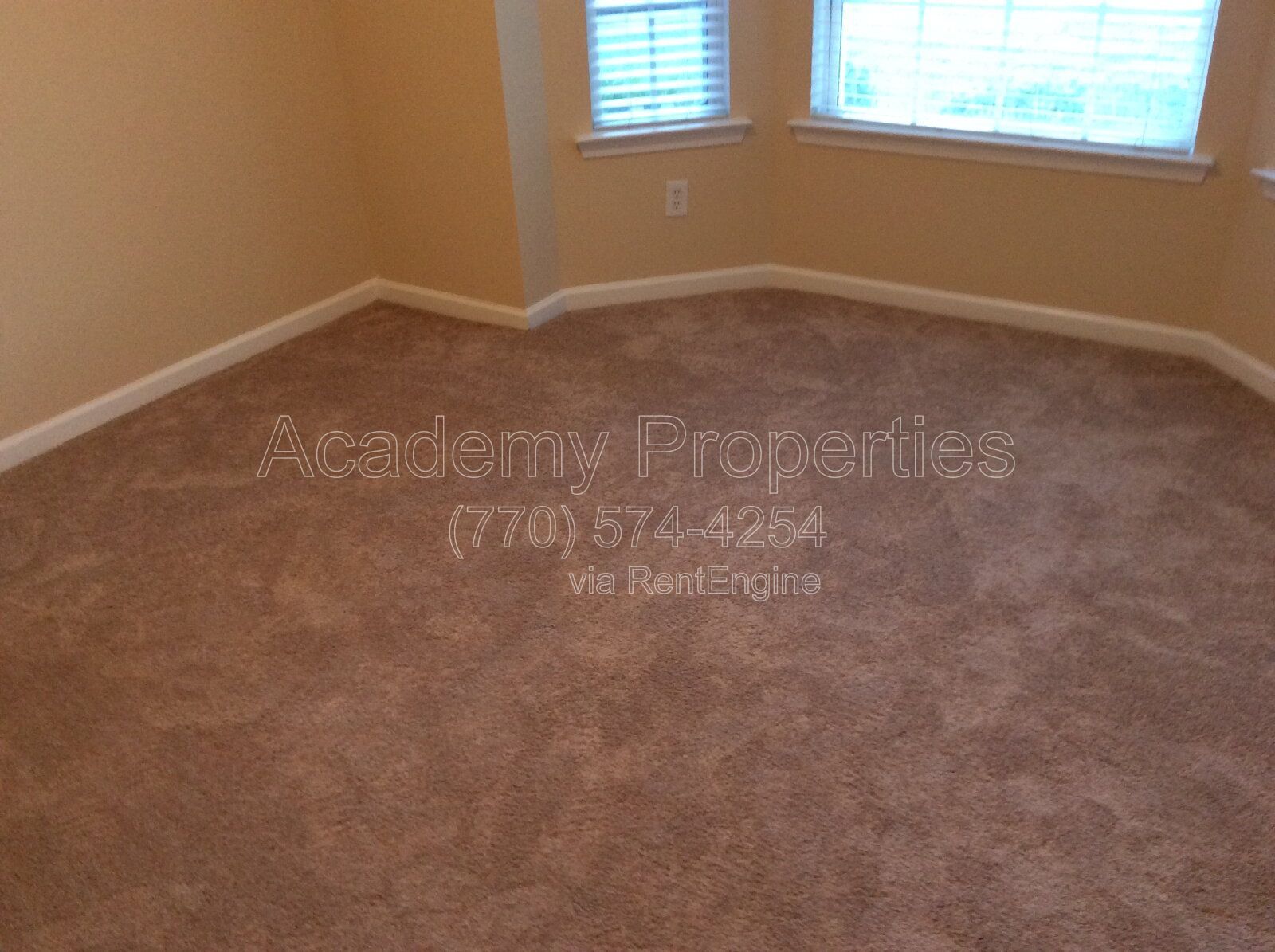 Gallery Image 19