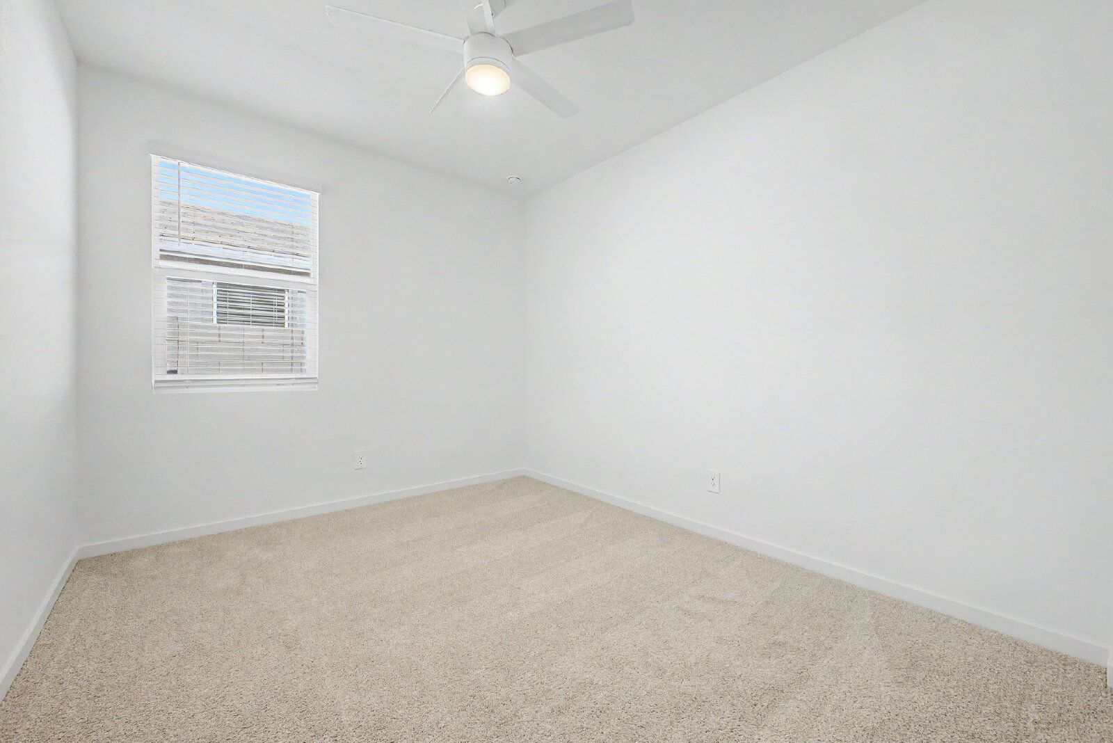 Gallery Image 30