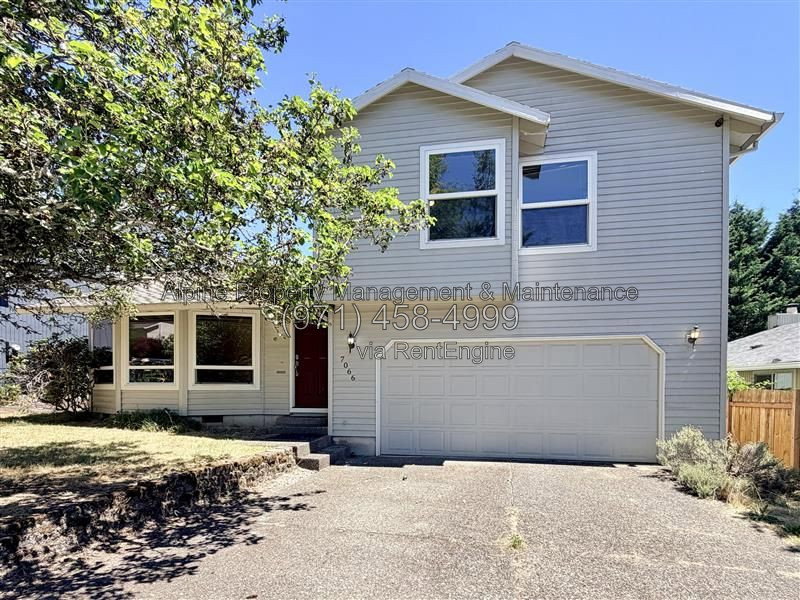 Gallery Image 0
