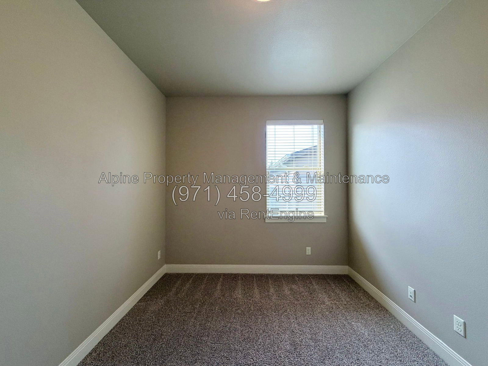 Gallery Image 36
