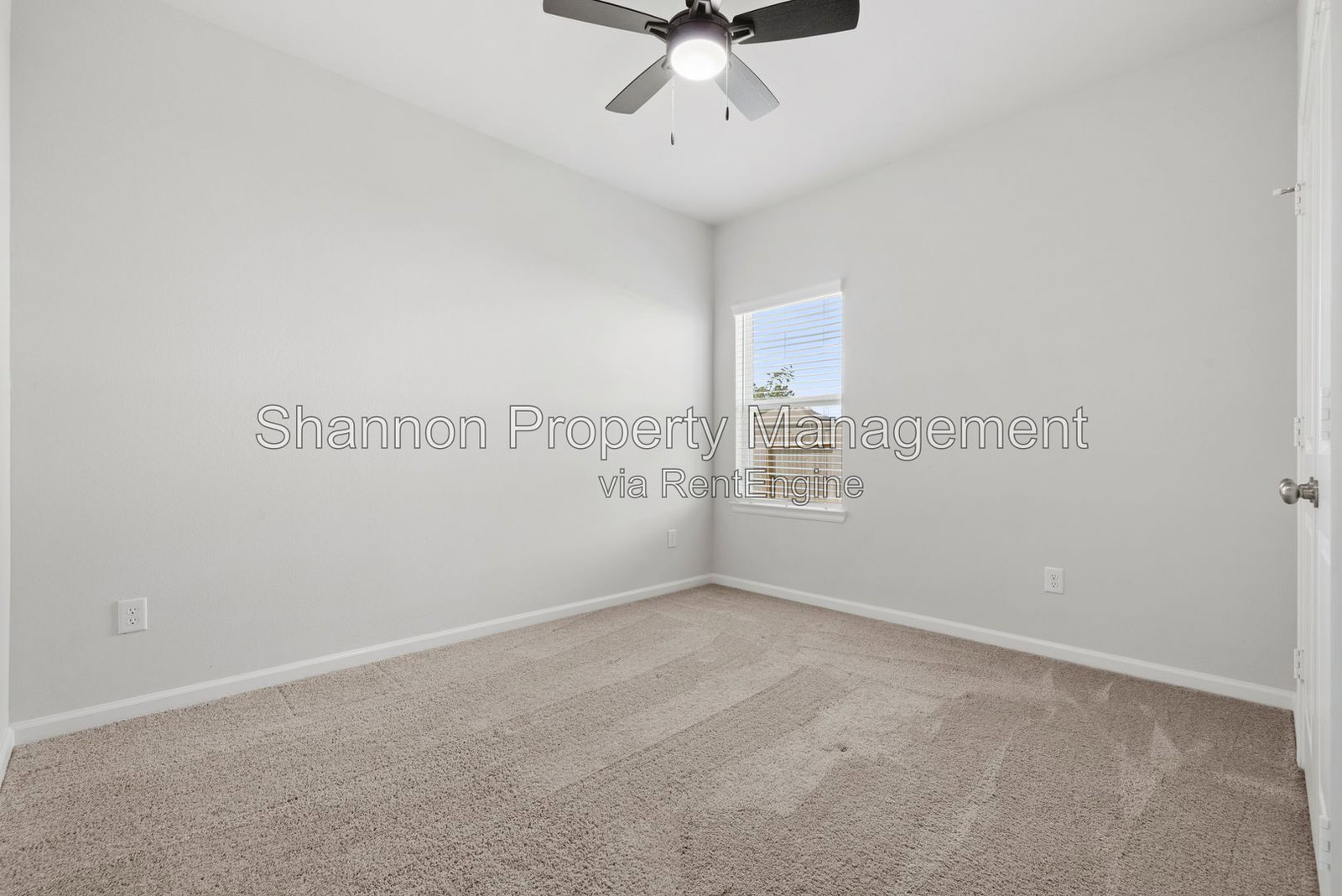 Gallery Image 19