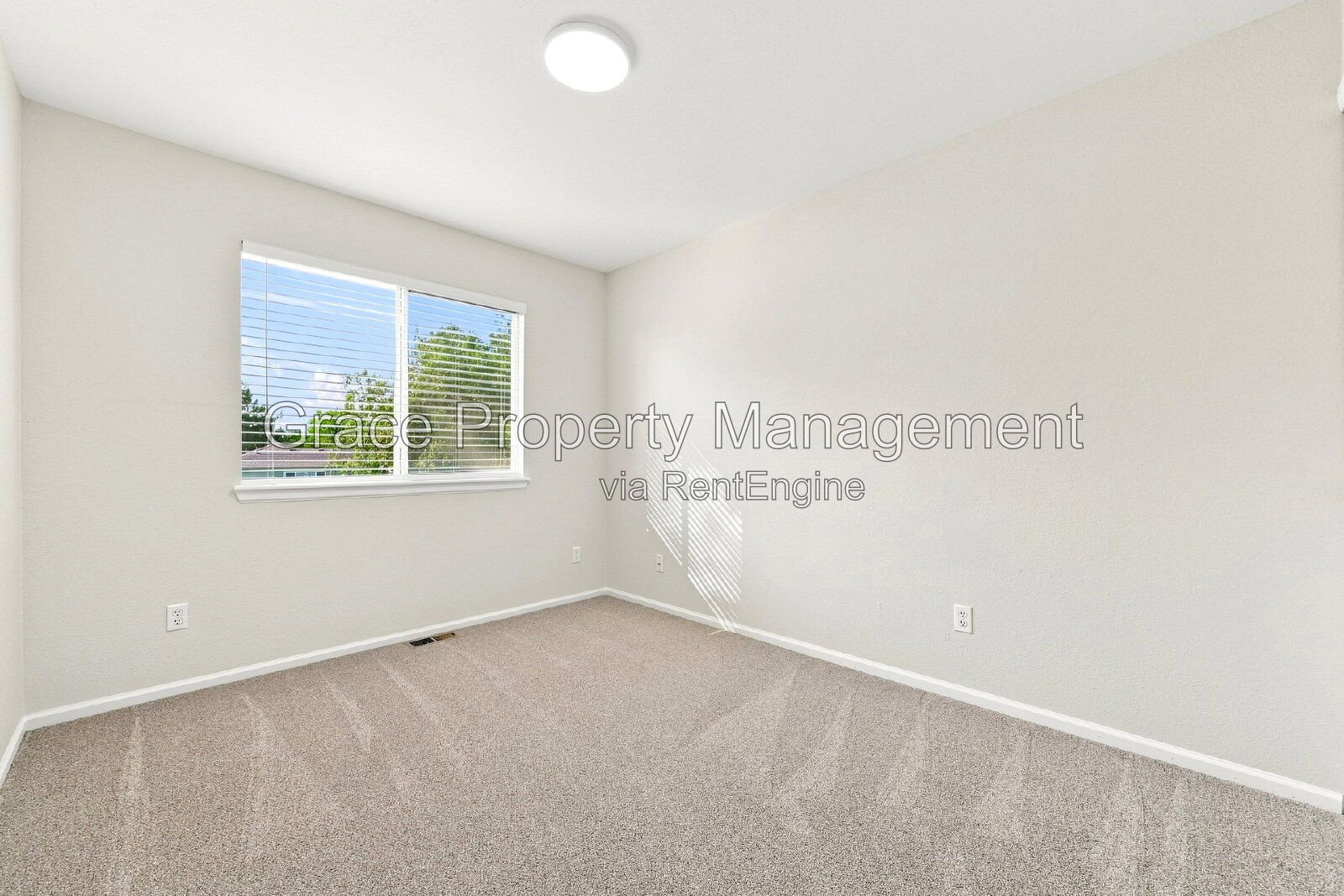 Gallery Image 20