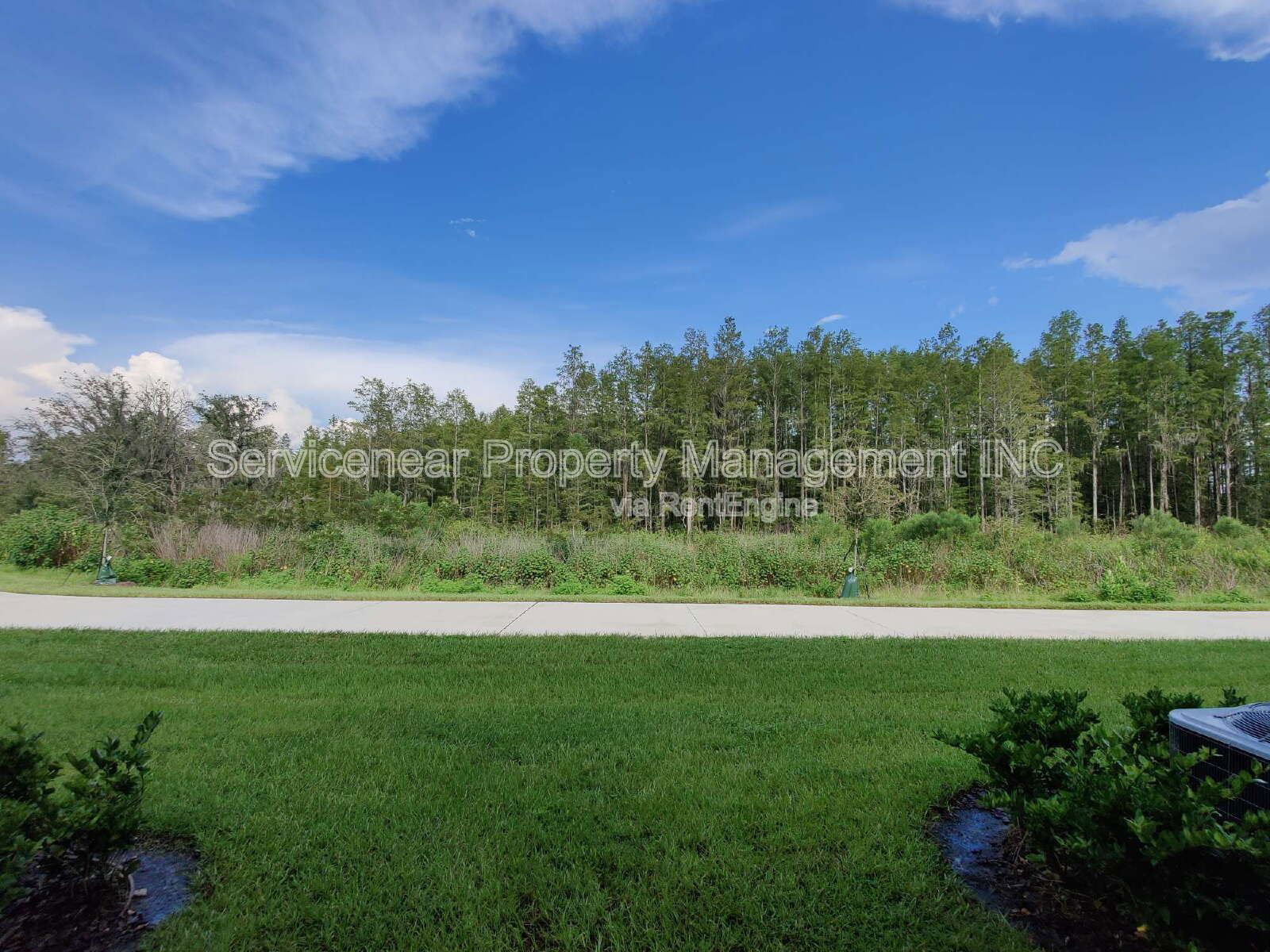Gallery Image 38