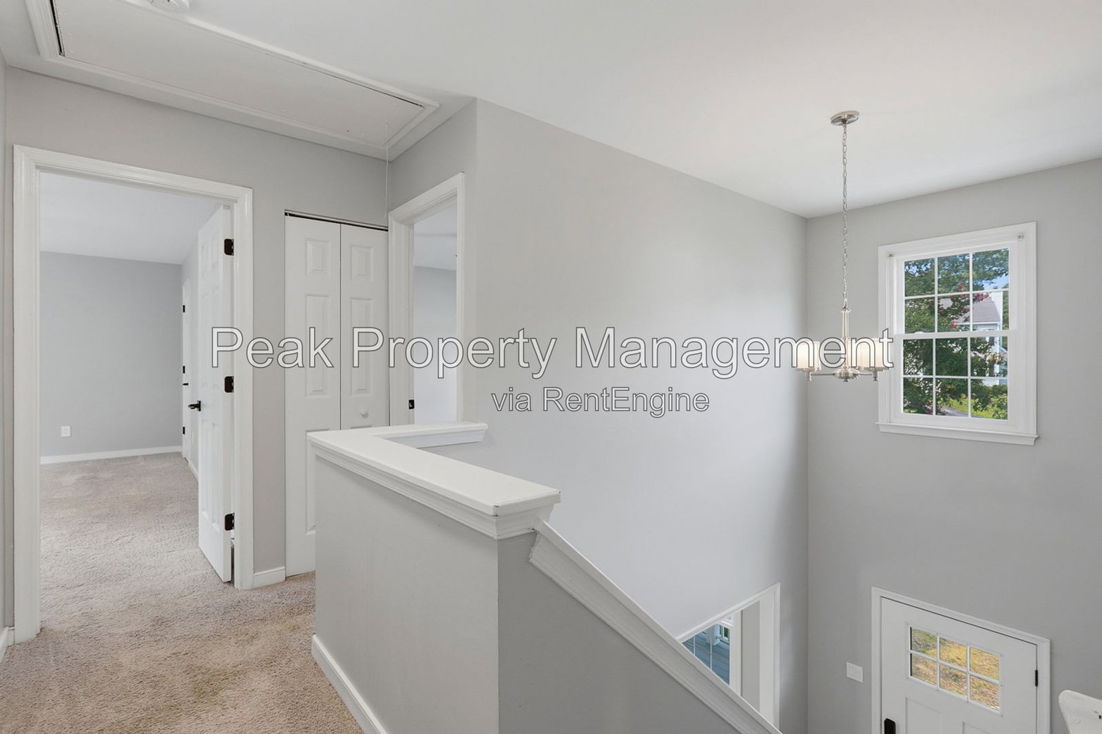 Gallery Image 15