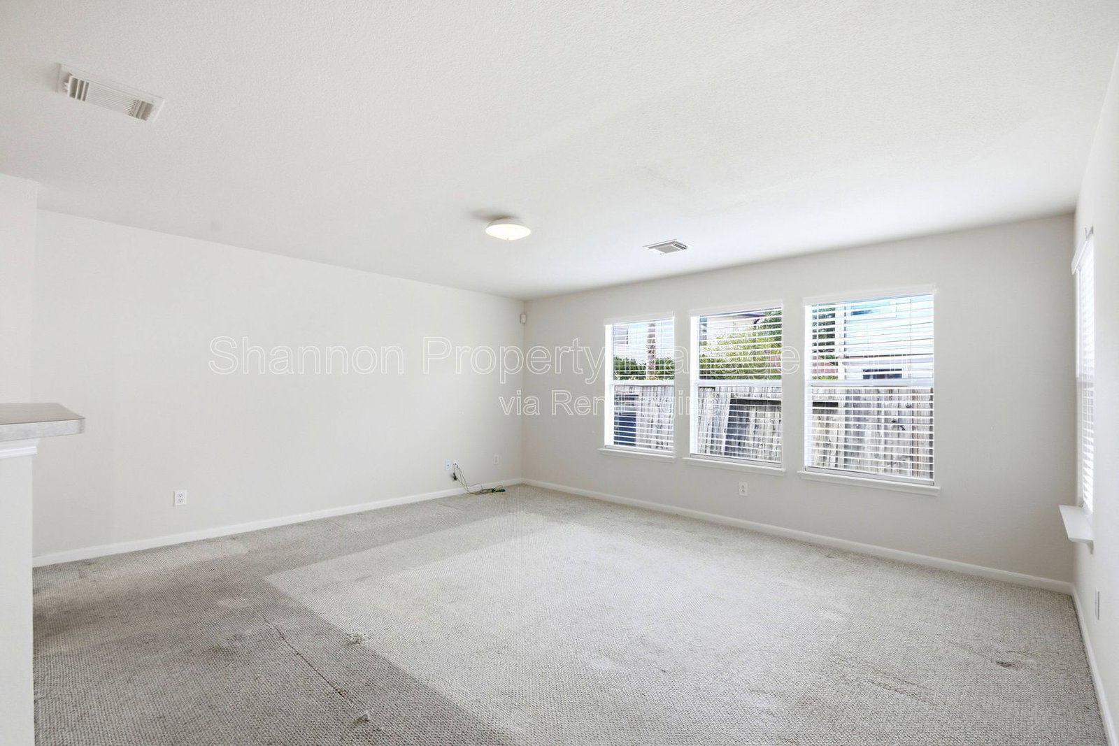 Gallery Image 21