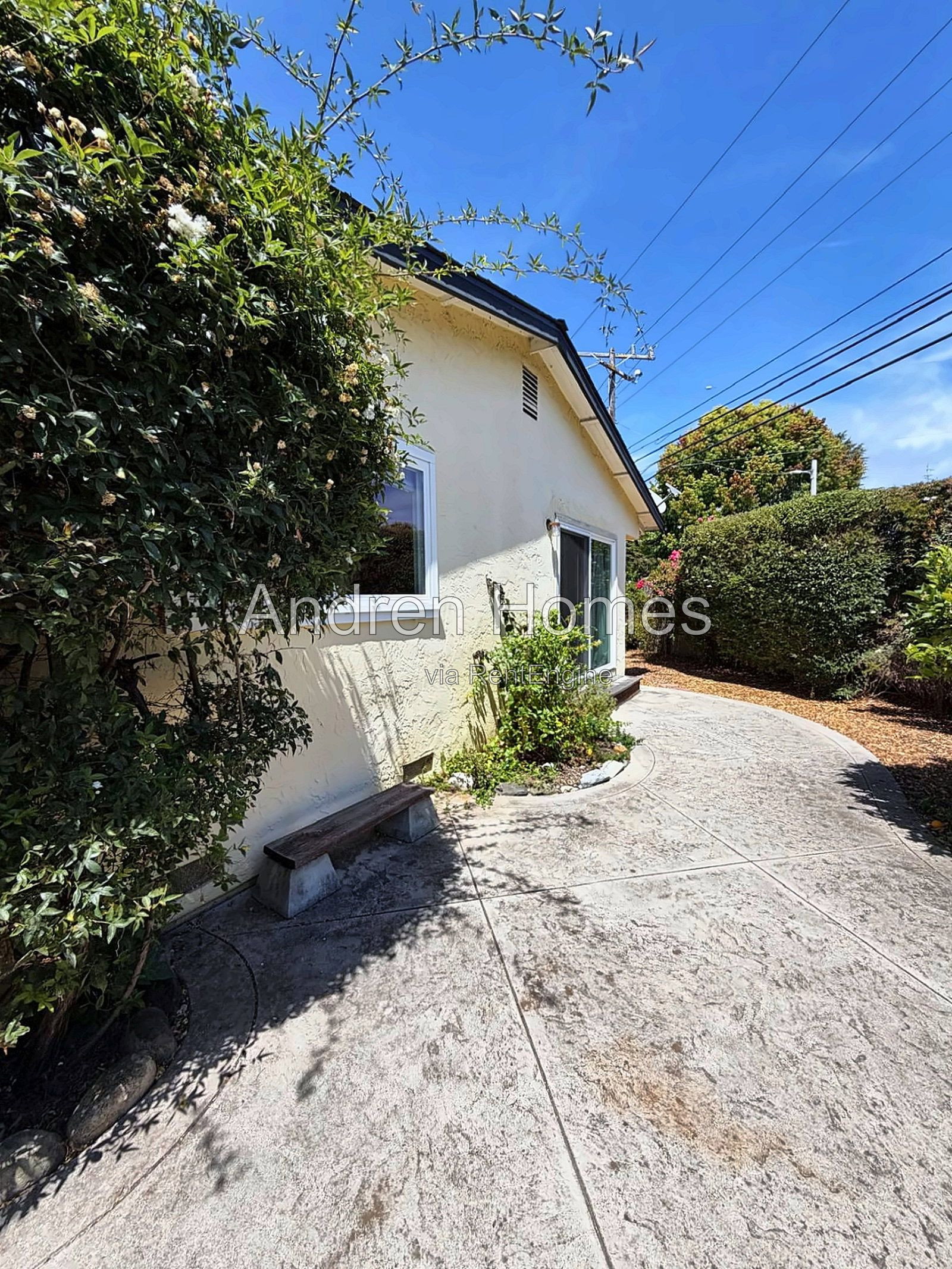 Gallery Image 19
