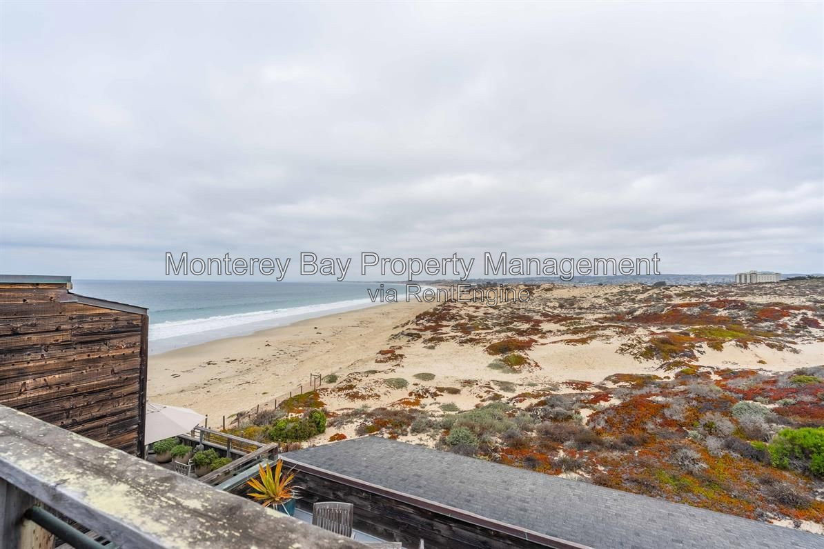Gallery Image 16