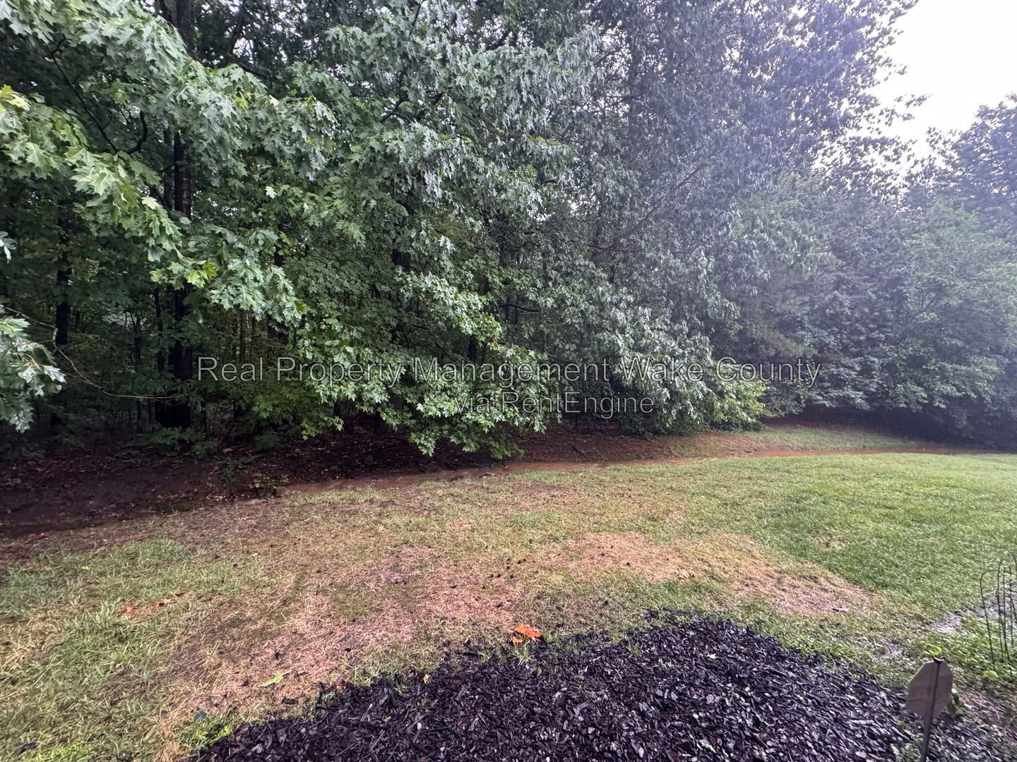 Gallery Image 30