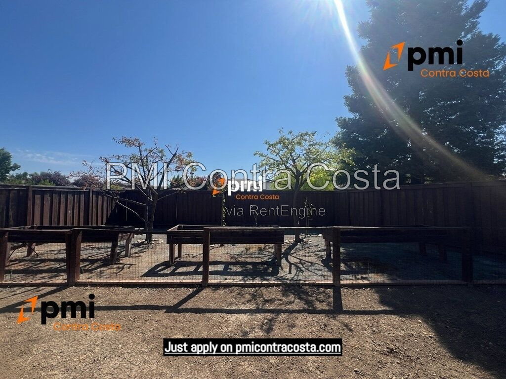 Gallery Image 54