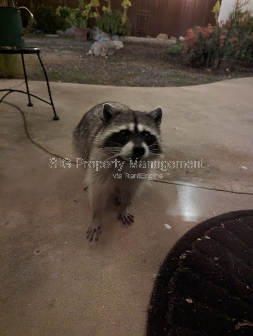 Gallery Image 25