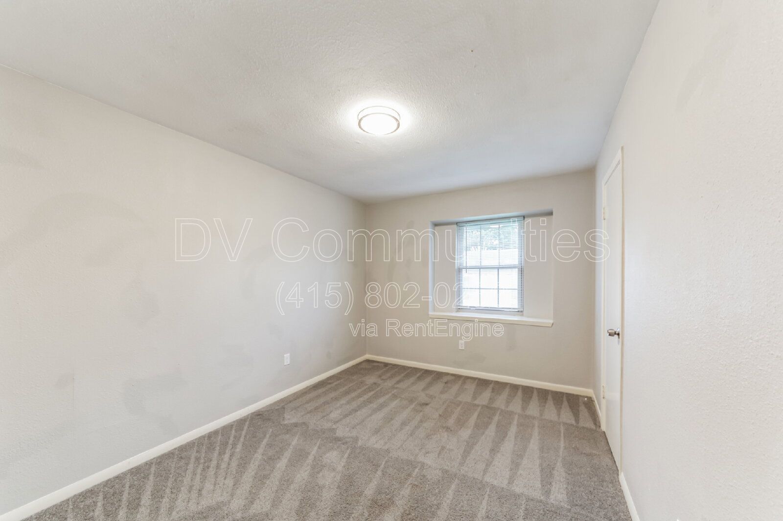 Gallery Image 28