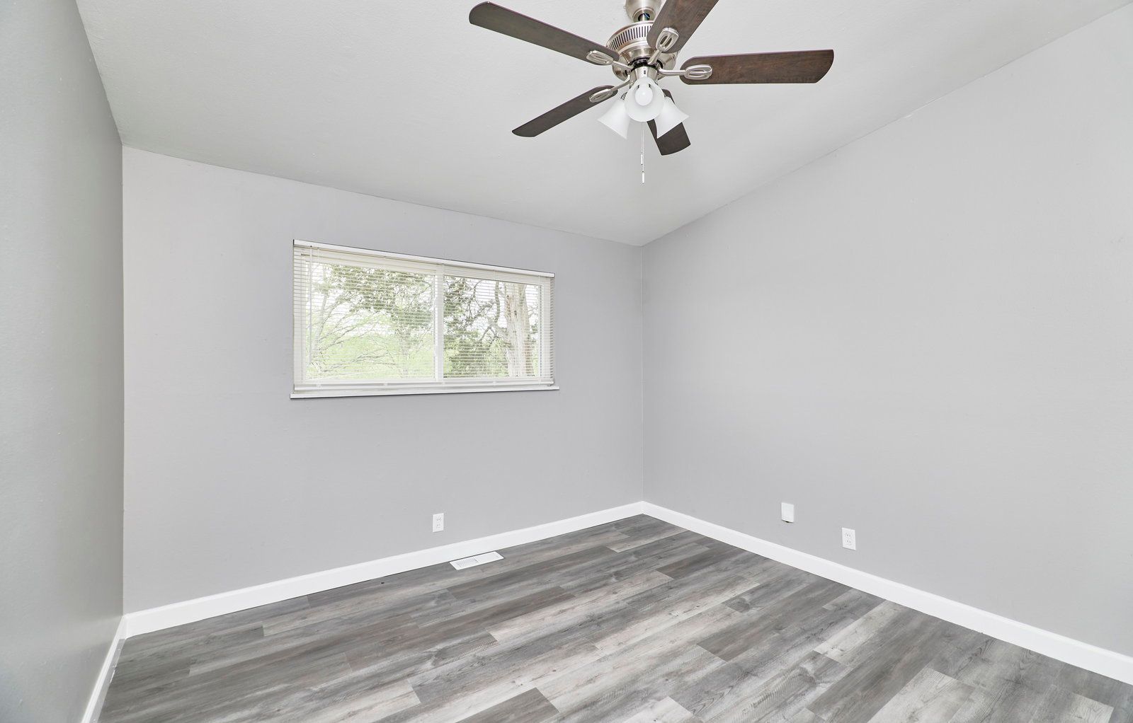 Gallery Image 19