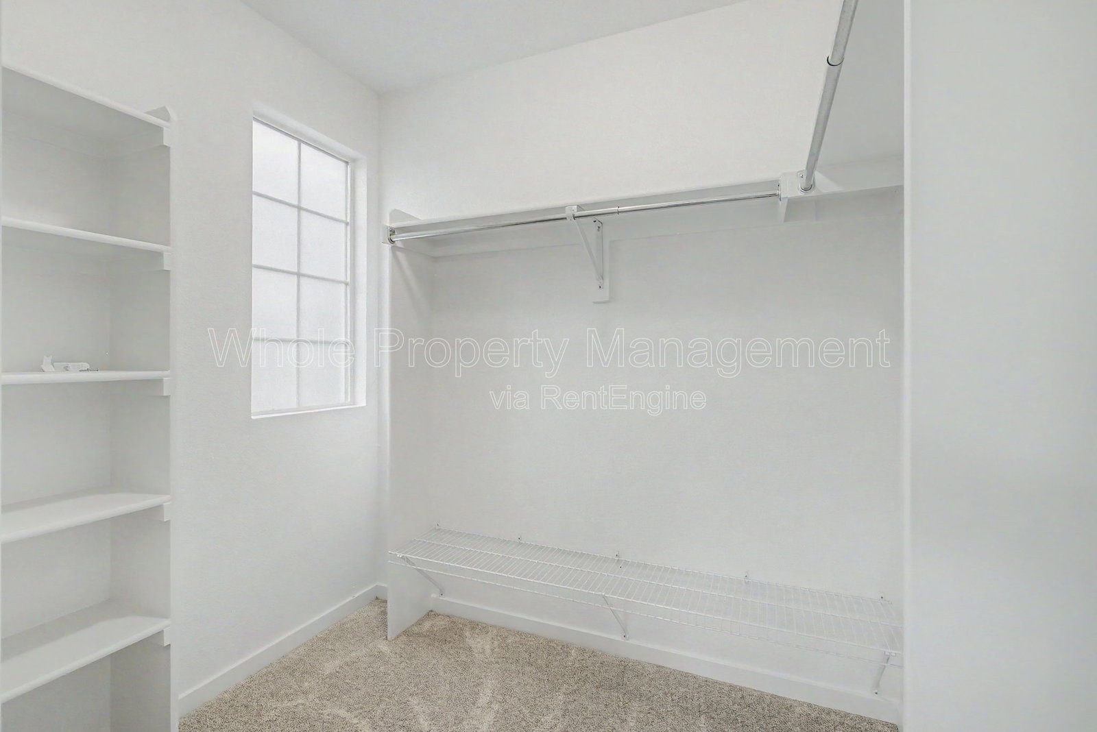 Gallery Image 16