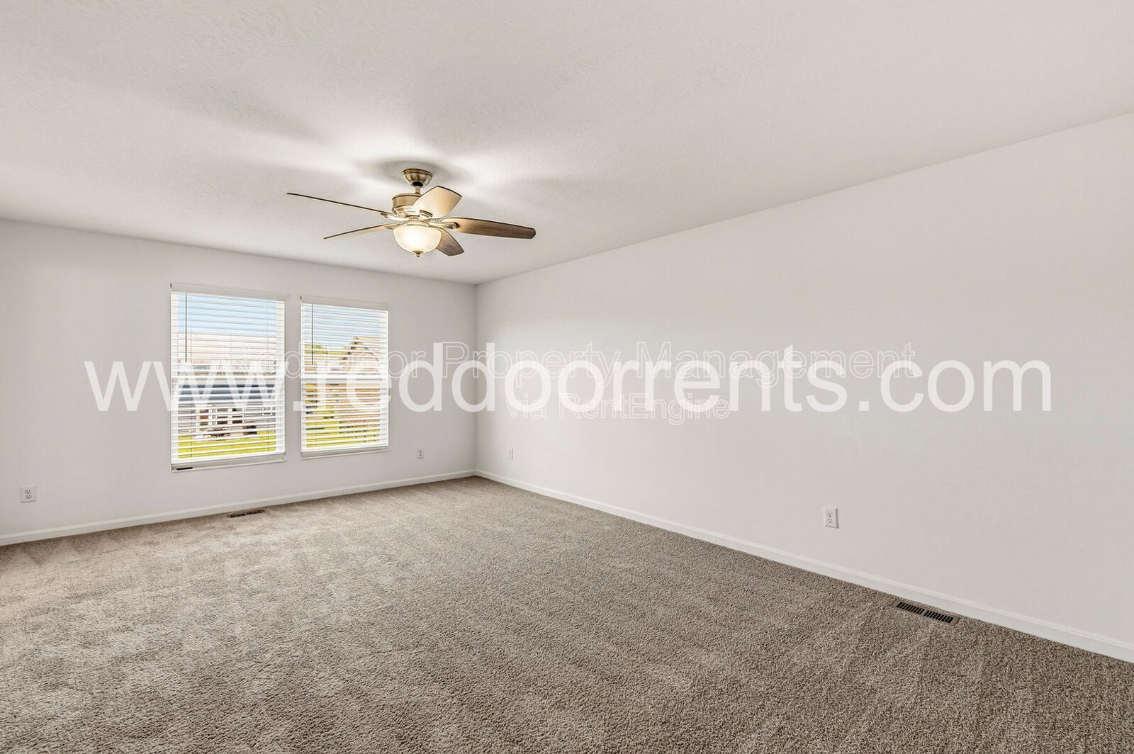Gallery Image 19