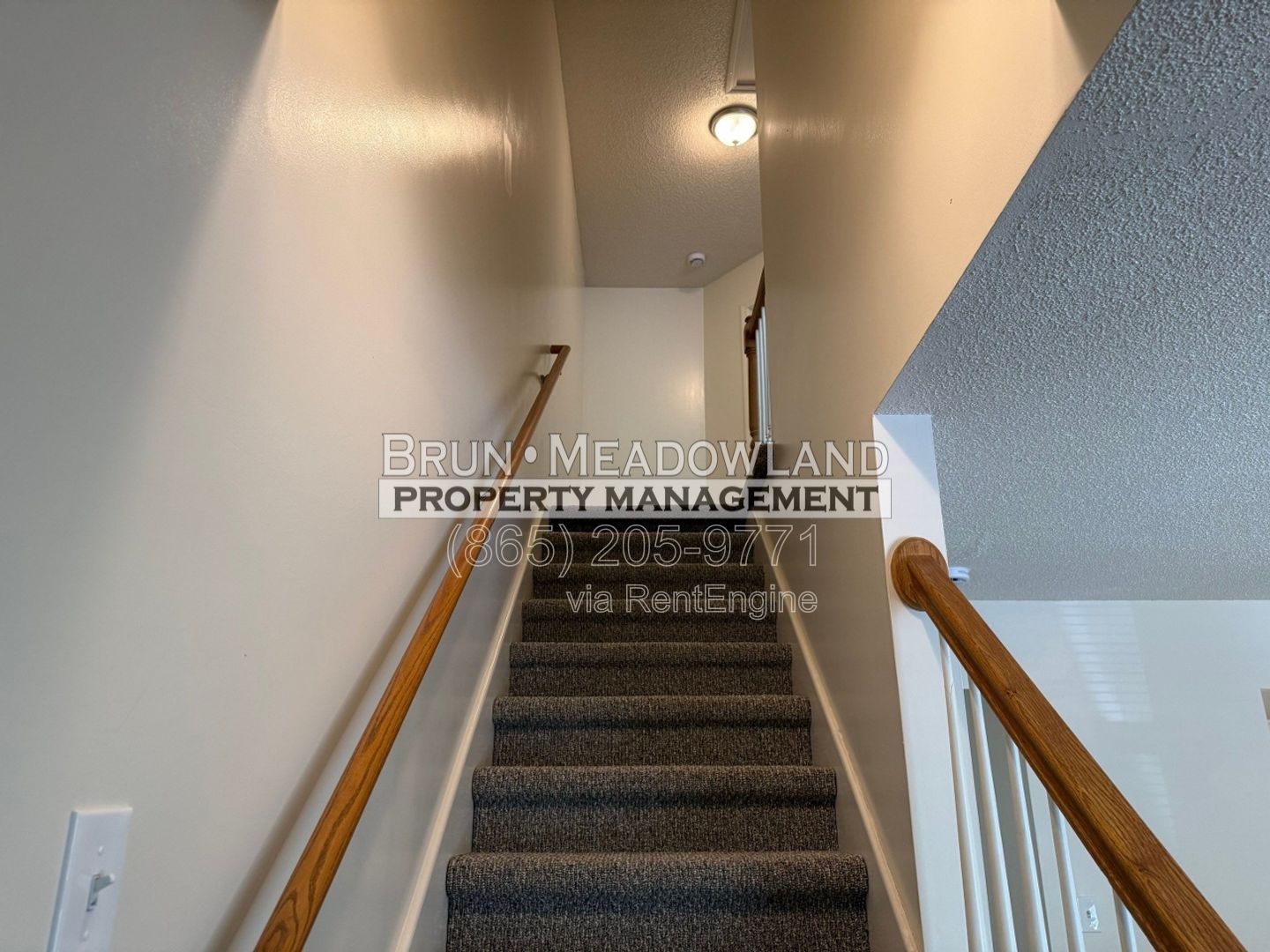 Gallery Image 18
