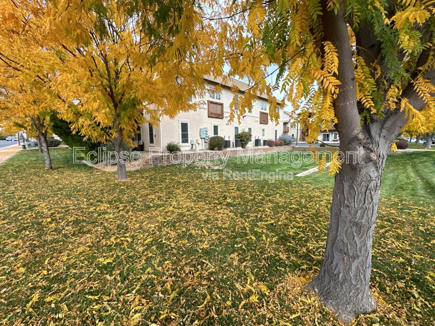 Gallery Image 26
