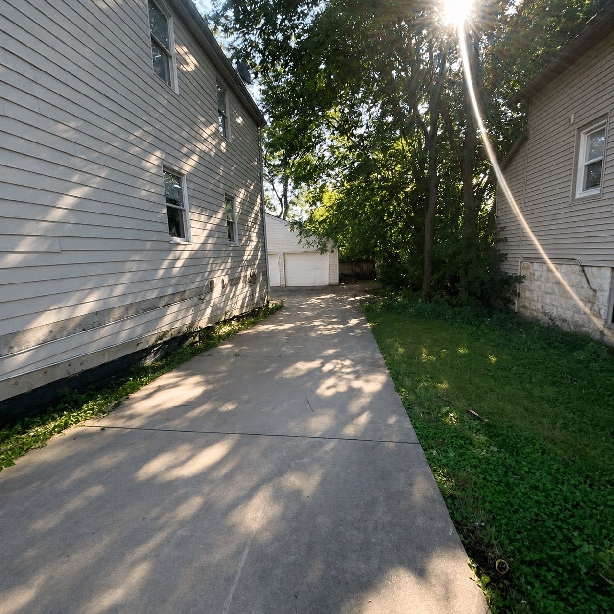 Gallery Image 19