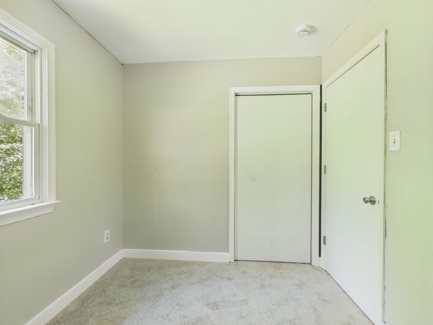 Gallery Image 20