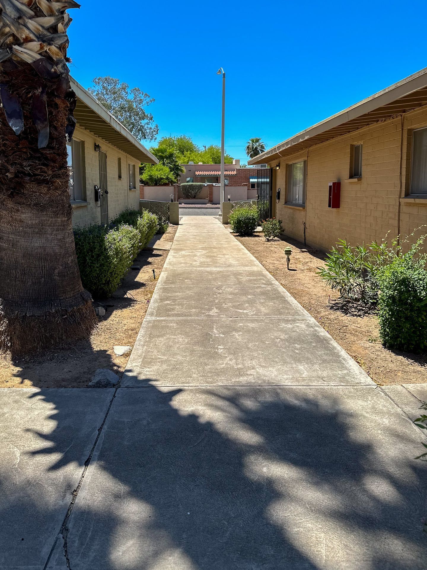 Gallery Image 17