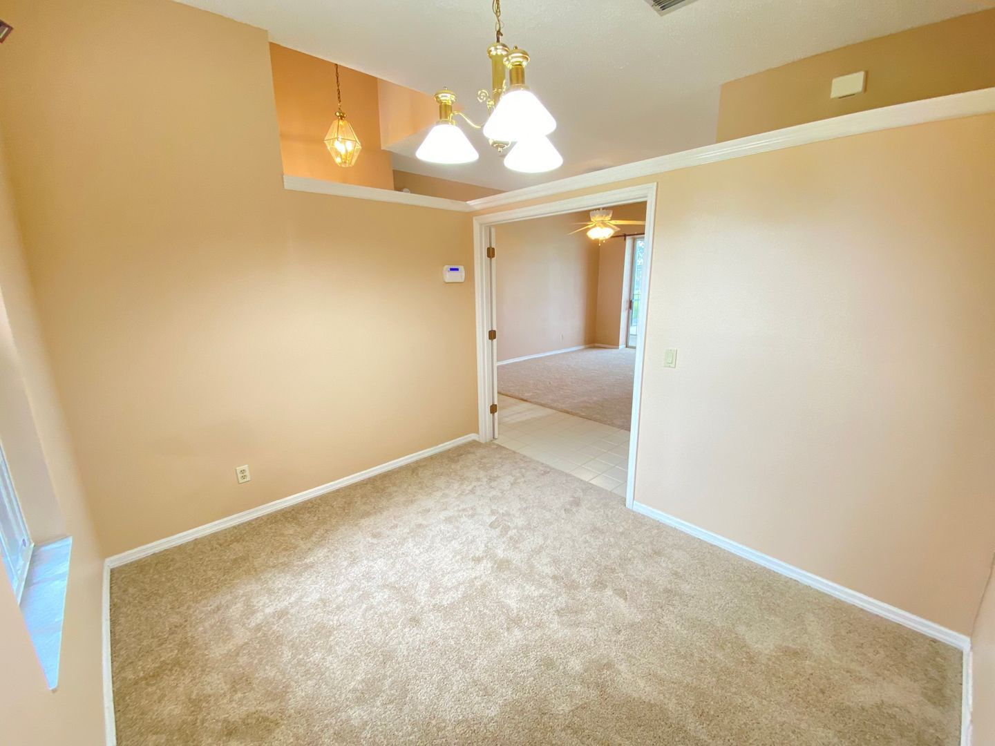 Gallery Image 19