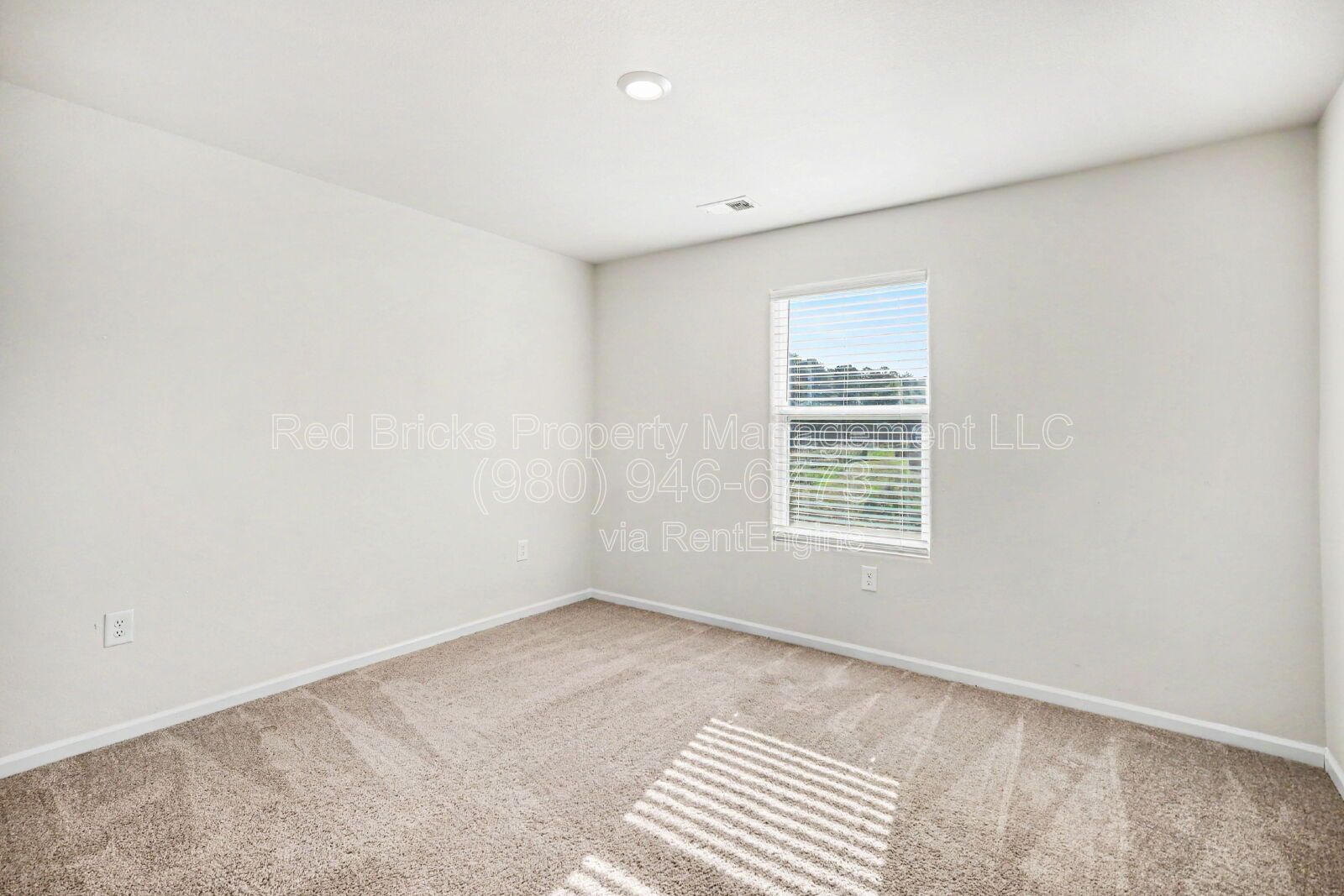 Gallery Image 20