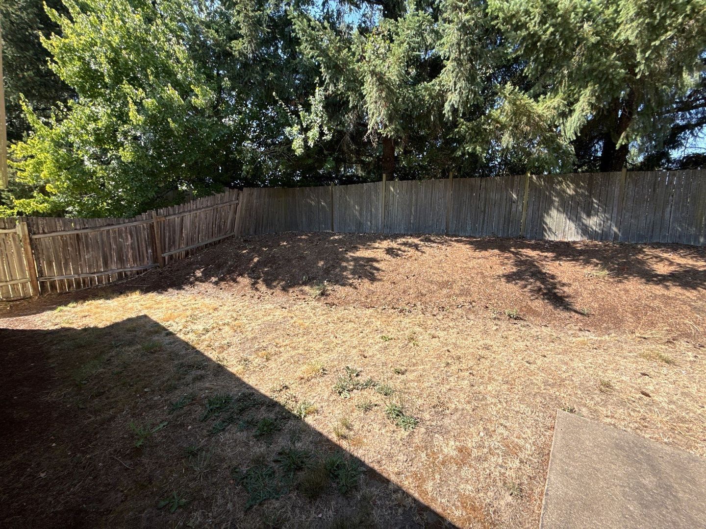 Gallery Image 36