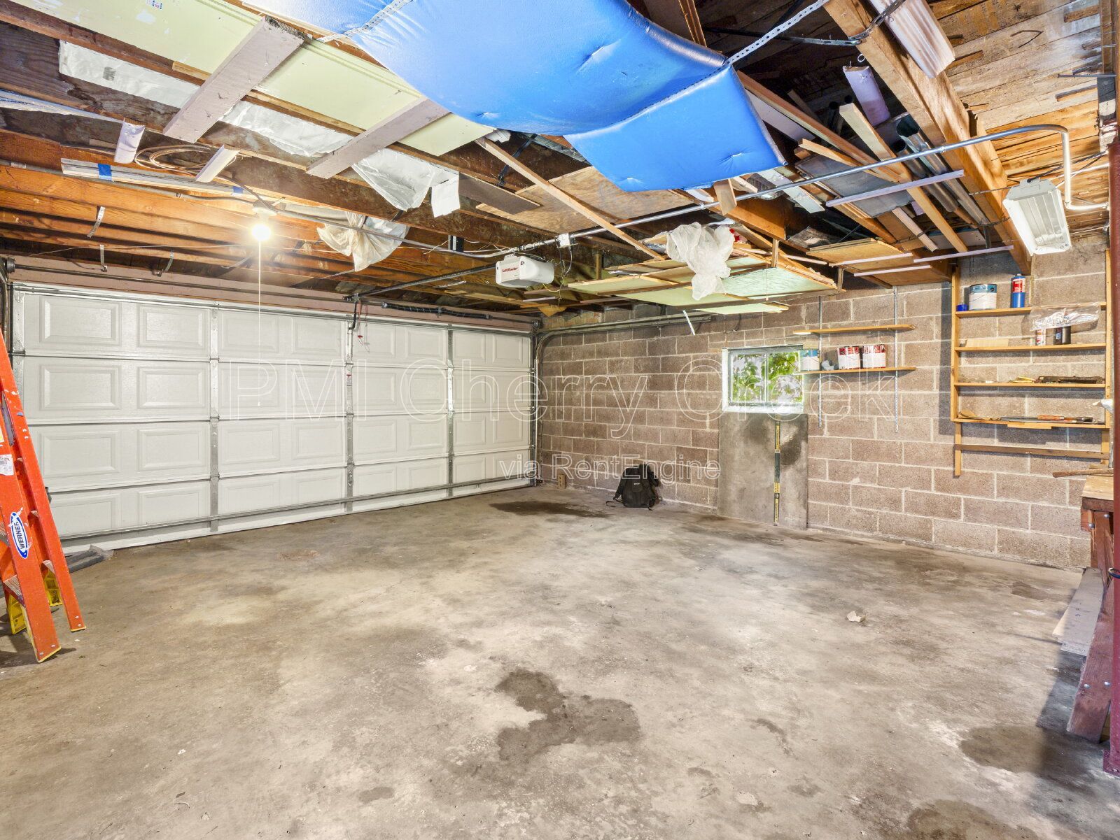 Gallery Image 19