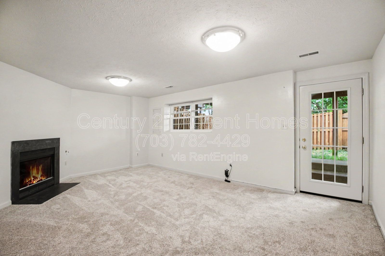 Gallery Image 16