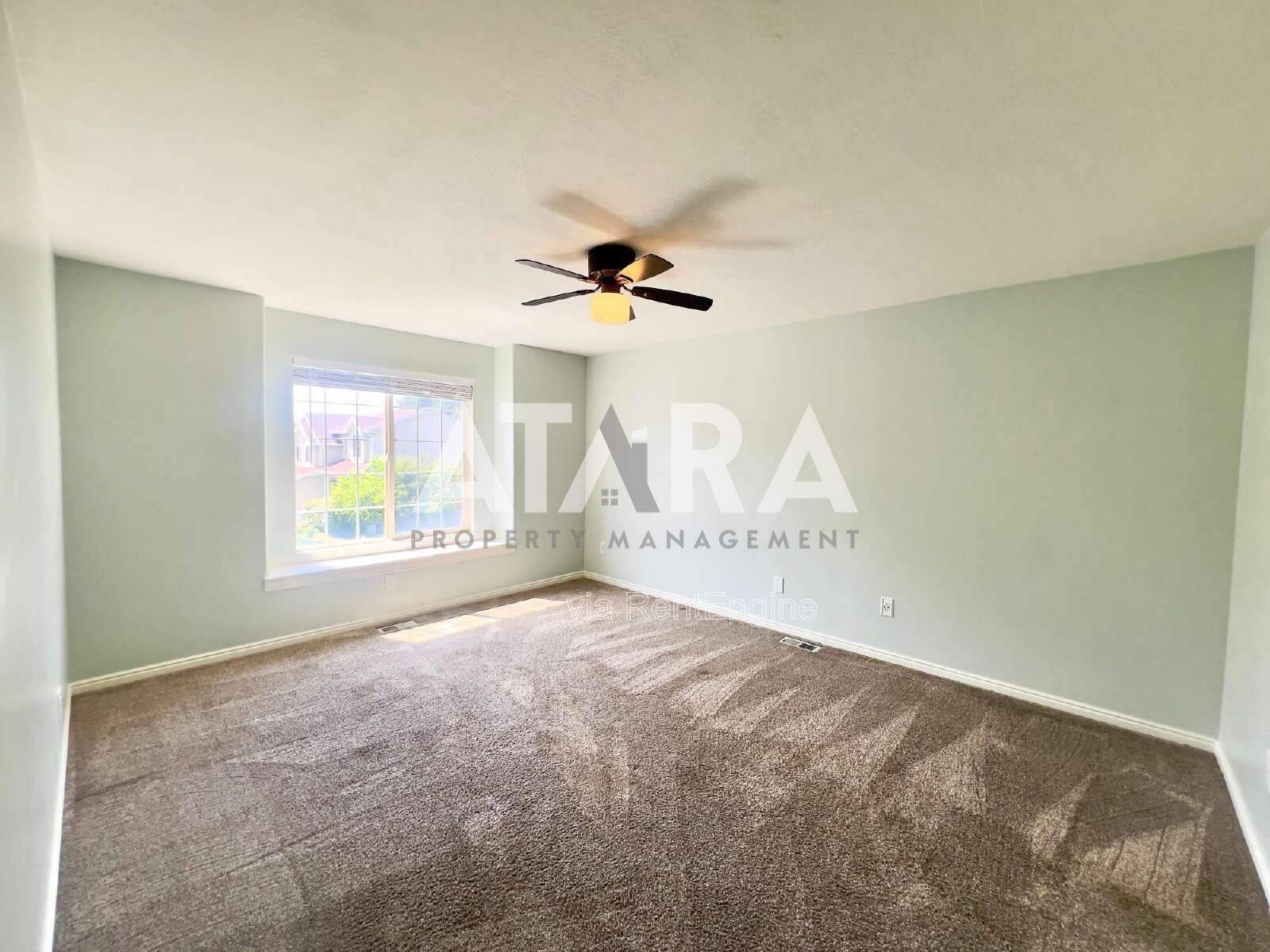 Gallery Image 33