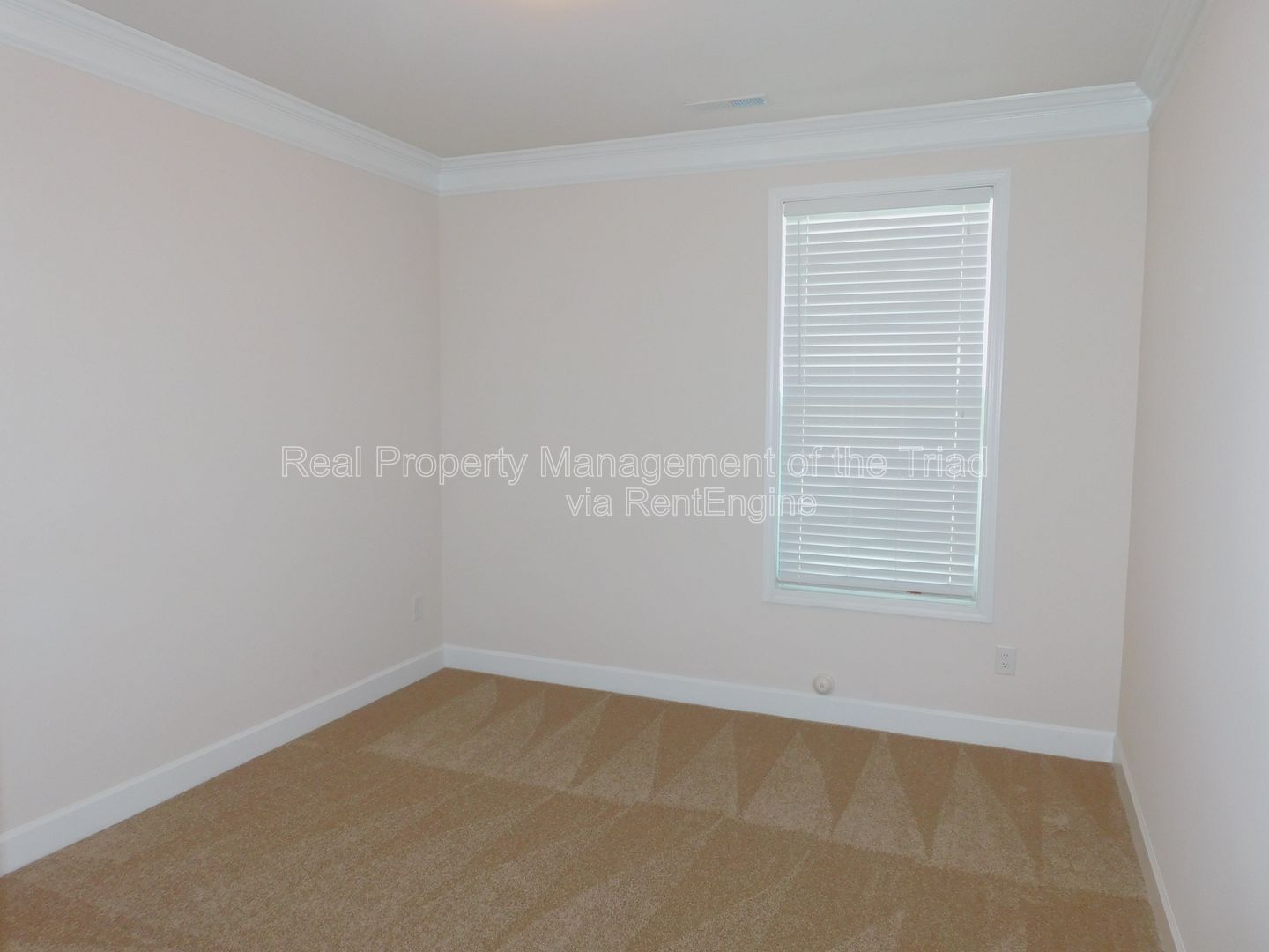 Gallery Image 19