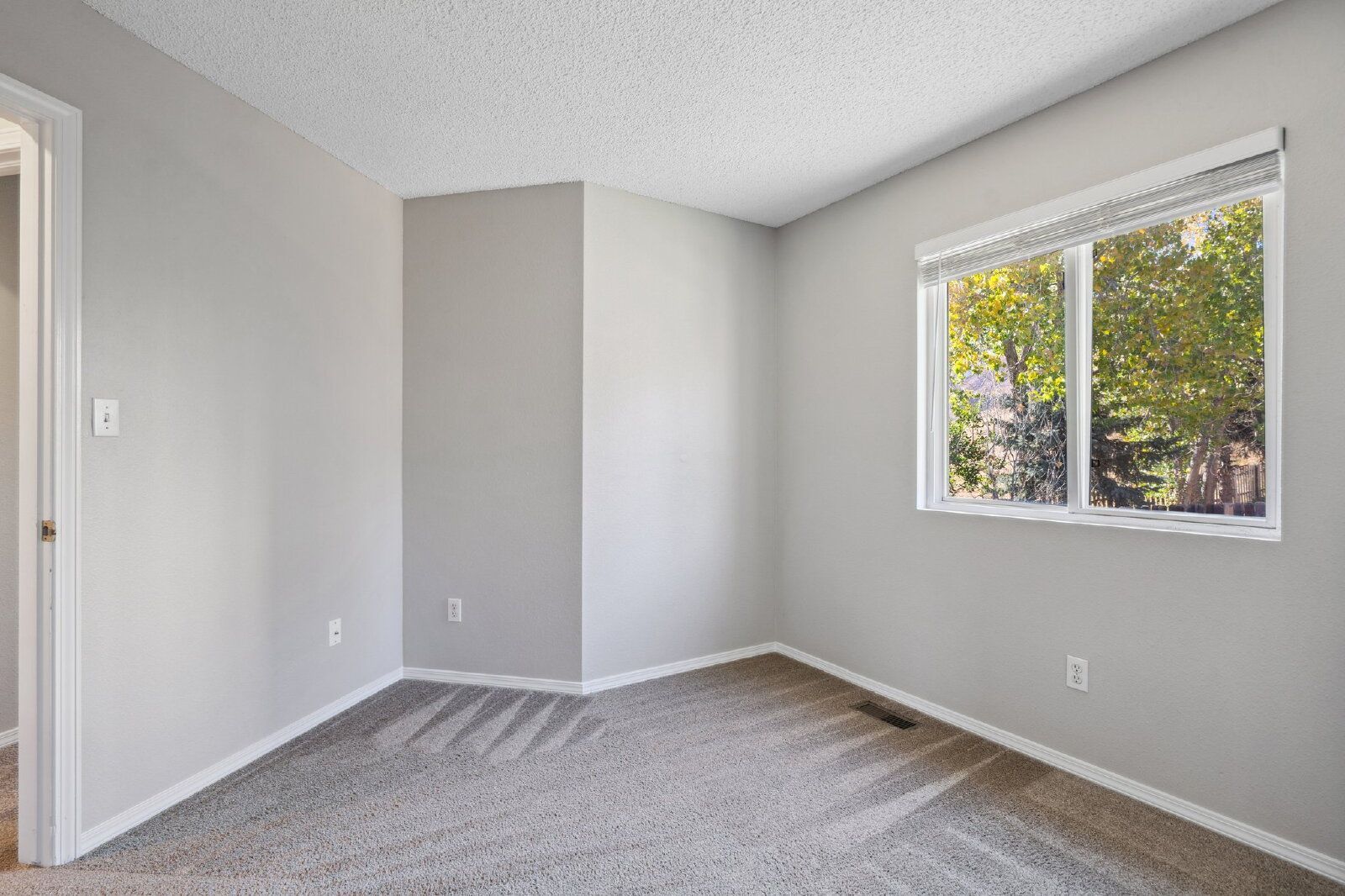 Gallery Image 19